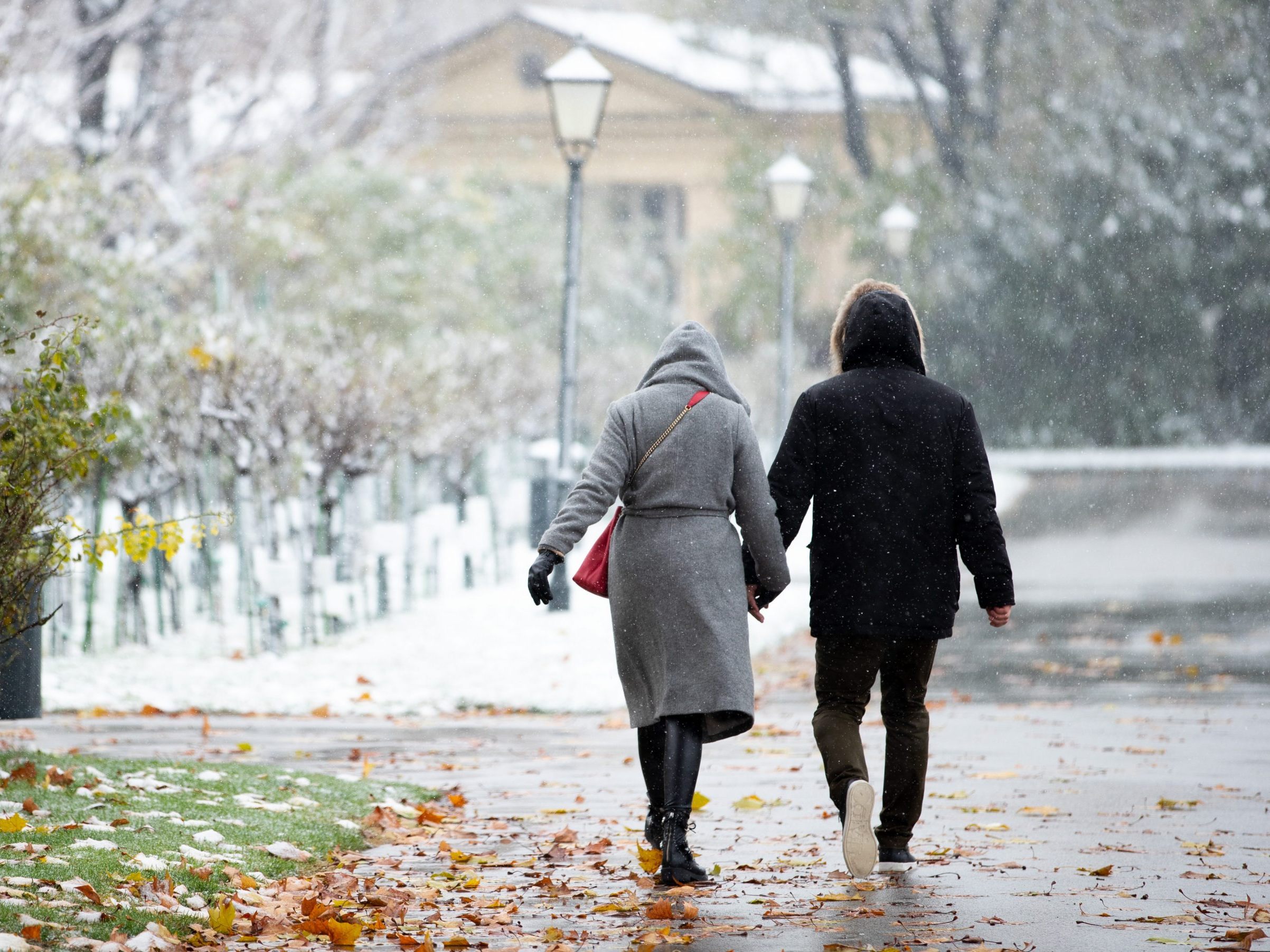 Ein Italientief sorgt bis in den Großraum Wien für Schneefall. Ein Italientief sorgt bis in den Großraum Wien für Schneefall.