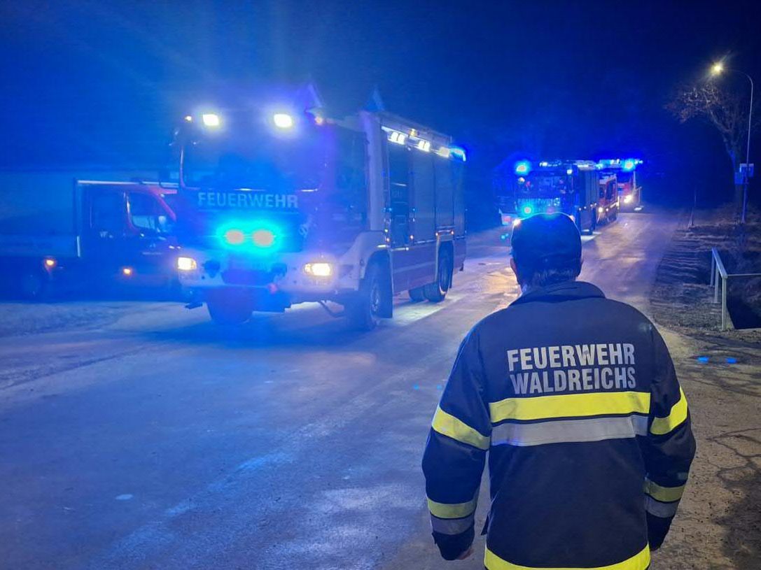 Im Bild: Einsatzkräfte bei der Suchaktion. Im Bild: Einsatzkräfte bei der Suchaktion.