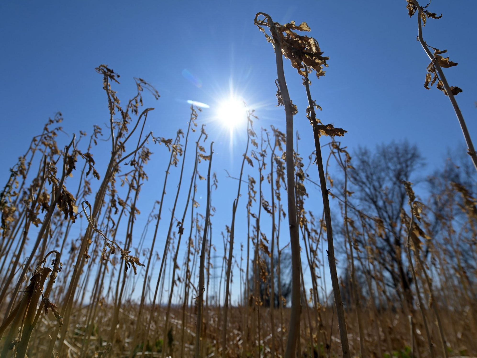Der menschengemachte Klimawandel ist immer stärker zu spüren.