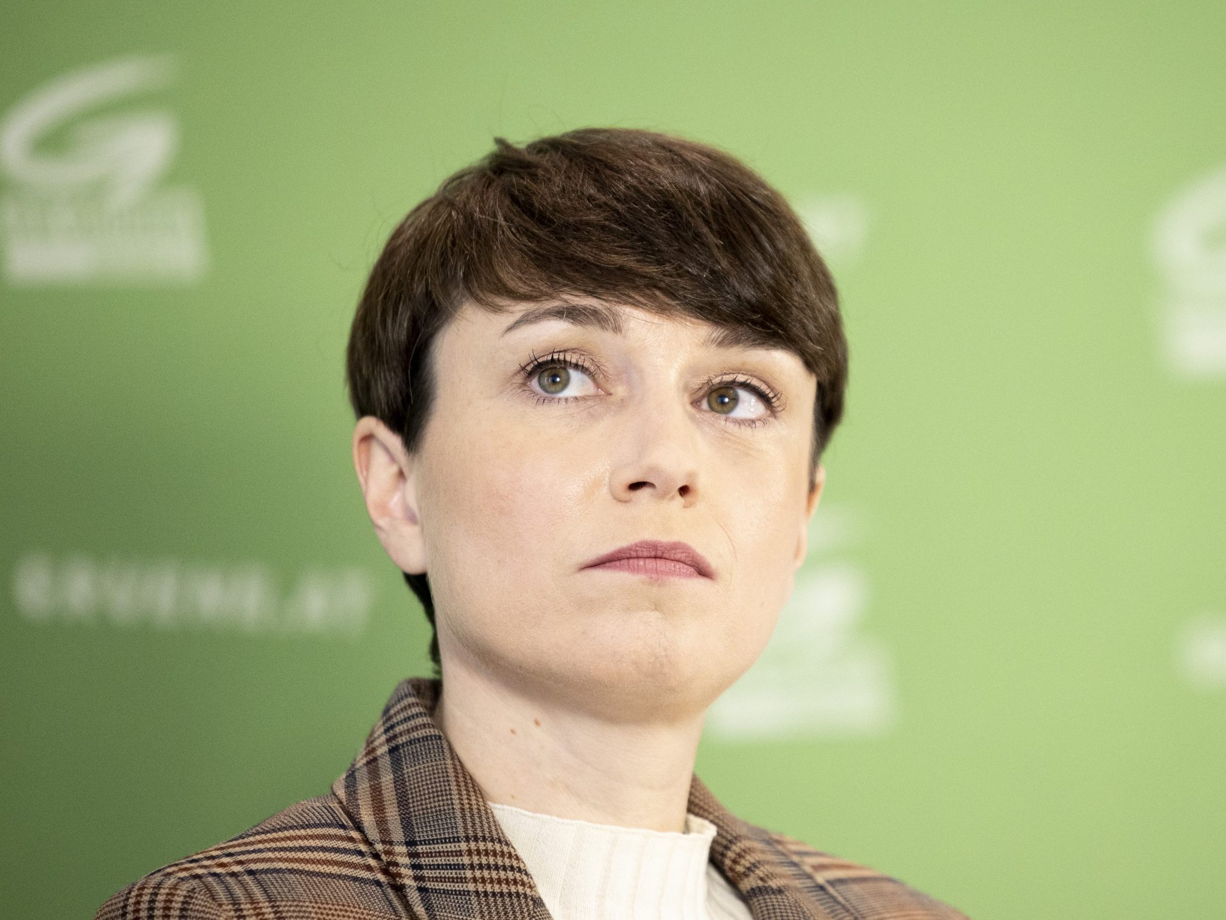 Die Grünne verloren den Fraktionsstatus im Bundesrat. Die Grünne verloren den Fraktionsstatus im Bundesrat.