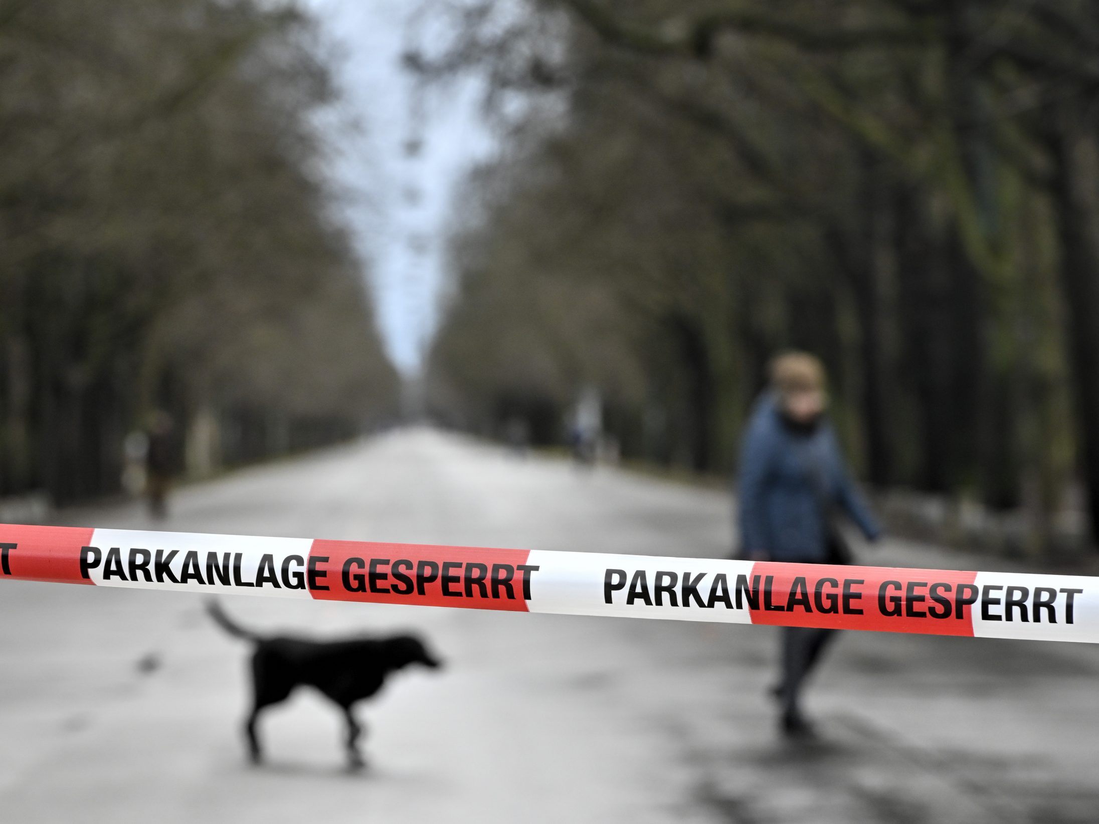 Mehrere Parkanlagen in Wien sind teilweise gesperrt. Mehrere Parkanlagen in Wien sind teilweise gesperrt.