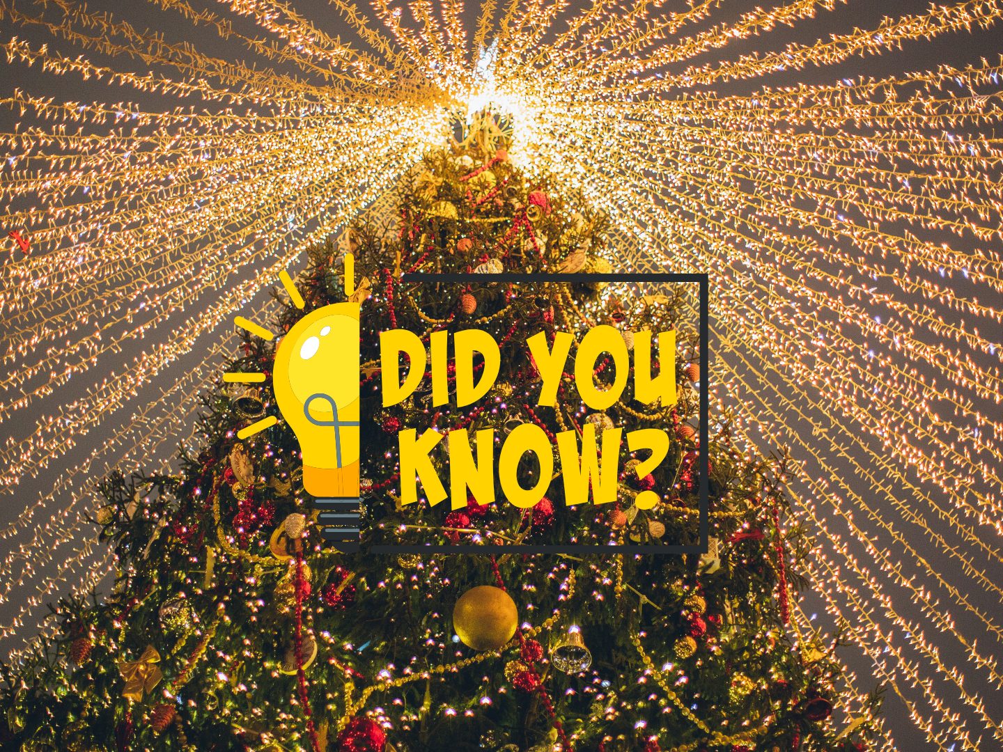 Weihnachten steckt voller kurioser Fakten: von Rentieren ohne Geweih über Santa im Weltall bis hin zu 20 Millionen Paketen – ein Fest der Überraschungen! Weihnachten steckt voller kurioser Fakten: von Rentieren ohne Geweih über Santa im Weltall bis hin zu 20 Millionen Paketen – ein Fest der Überraschungen!