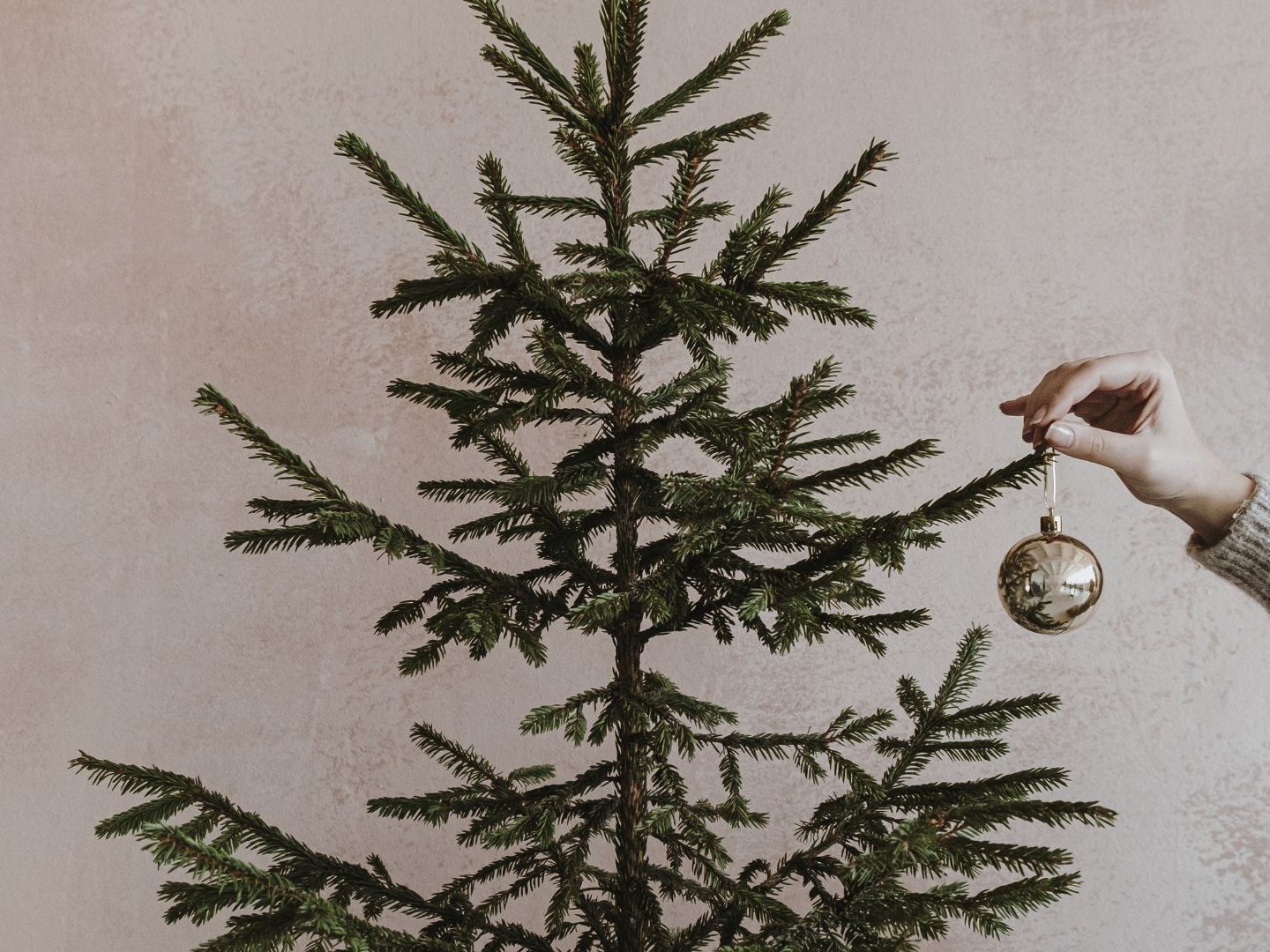 Österreicher setzen auf echte Bäume zu Weihnachten. Österreicher setzen auf echte Bäume zu Weihnachten.