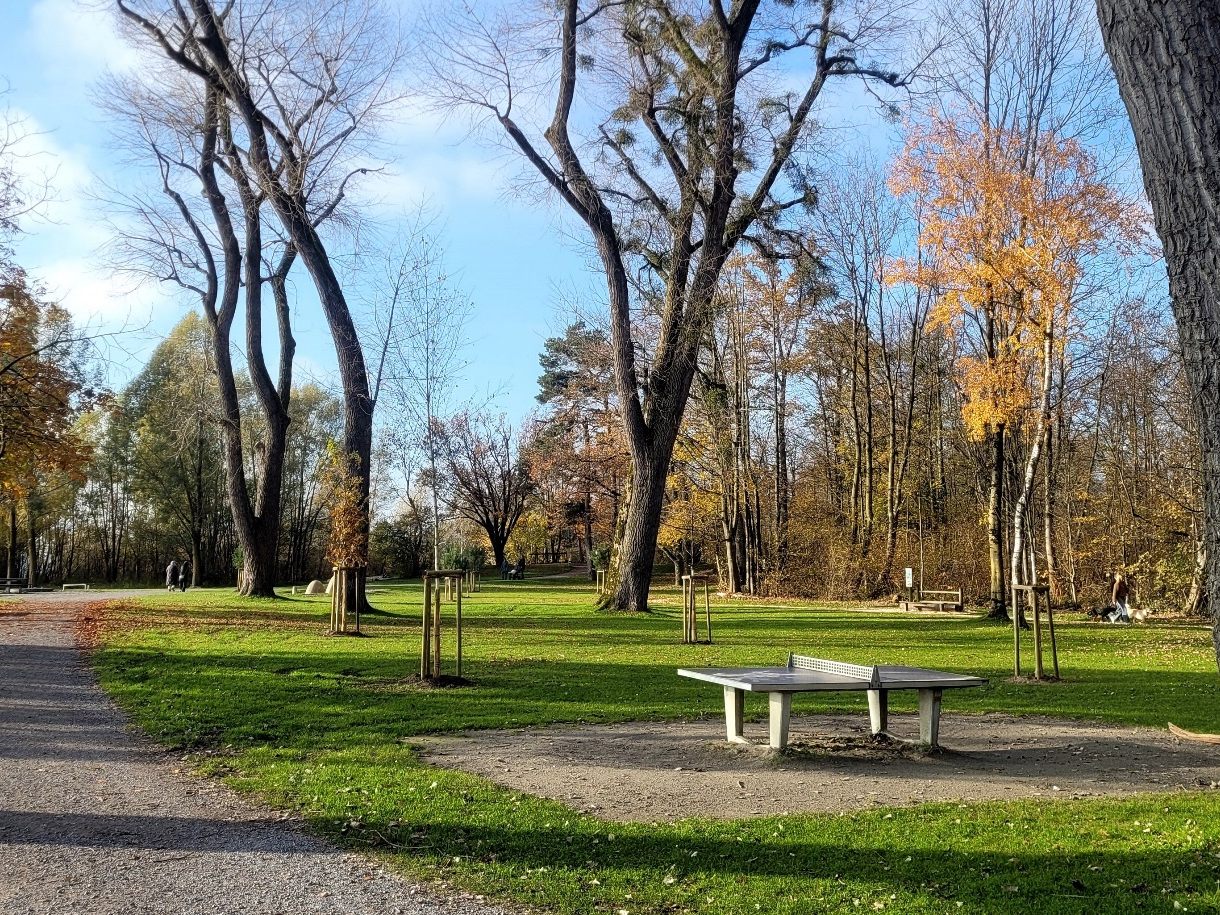Rund 24 neue Bäume zieren im Zuge der Baumverjüngung den Lochauer Uferabschnitt, vom Schwarzbad über den Hafen und den Kaiserstrand bis hin zum Strandbad. Rund 24 neue Bäume zieren im Zuge der Baumverjüngung den Lochauer Uferabschnitt, vom Schwarzbad über den Hafen und den Kaiserstrand bis hin zum Strandbad.