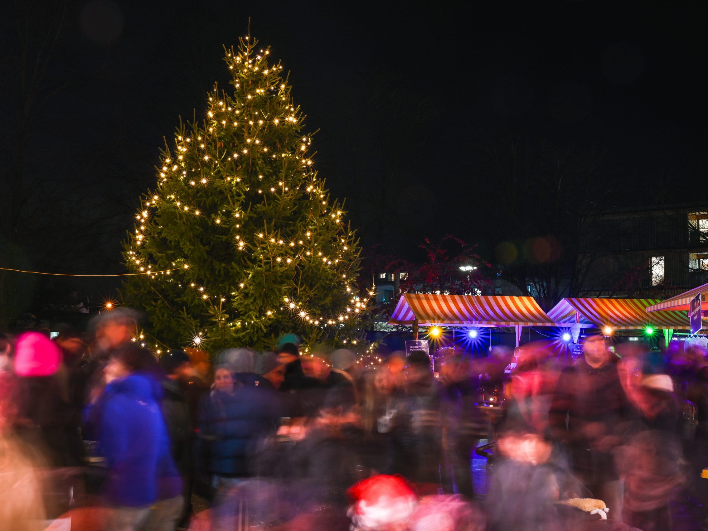 Weihnachtszauber auf dem Pausenhof der Volksschule Mäder. Weihnachtszauber auf dem Pausenhof der Volksschule Mäder.