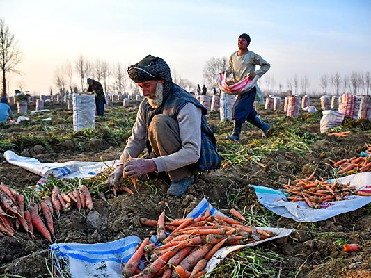 22,9 Millionen Menschen in Afghanistan auf Hilfe angewiesen 22,9 Millionen Menschen in Afghanistan auf Hilfe angewiesen