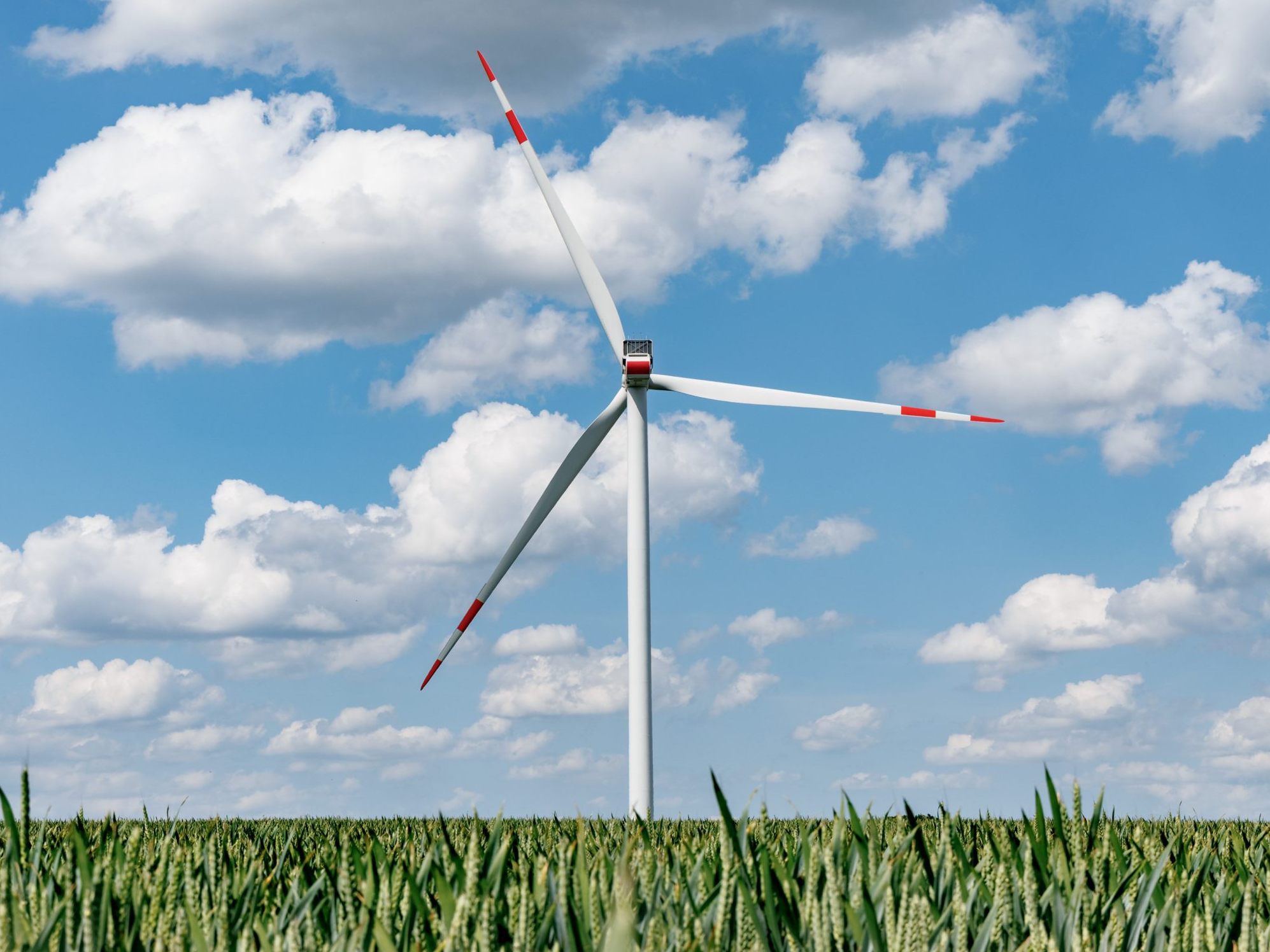 An der Energiewende führt kein Weg vorbei.