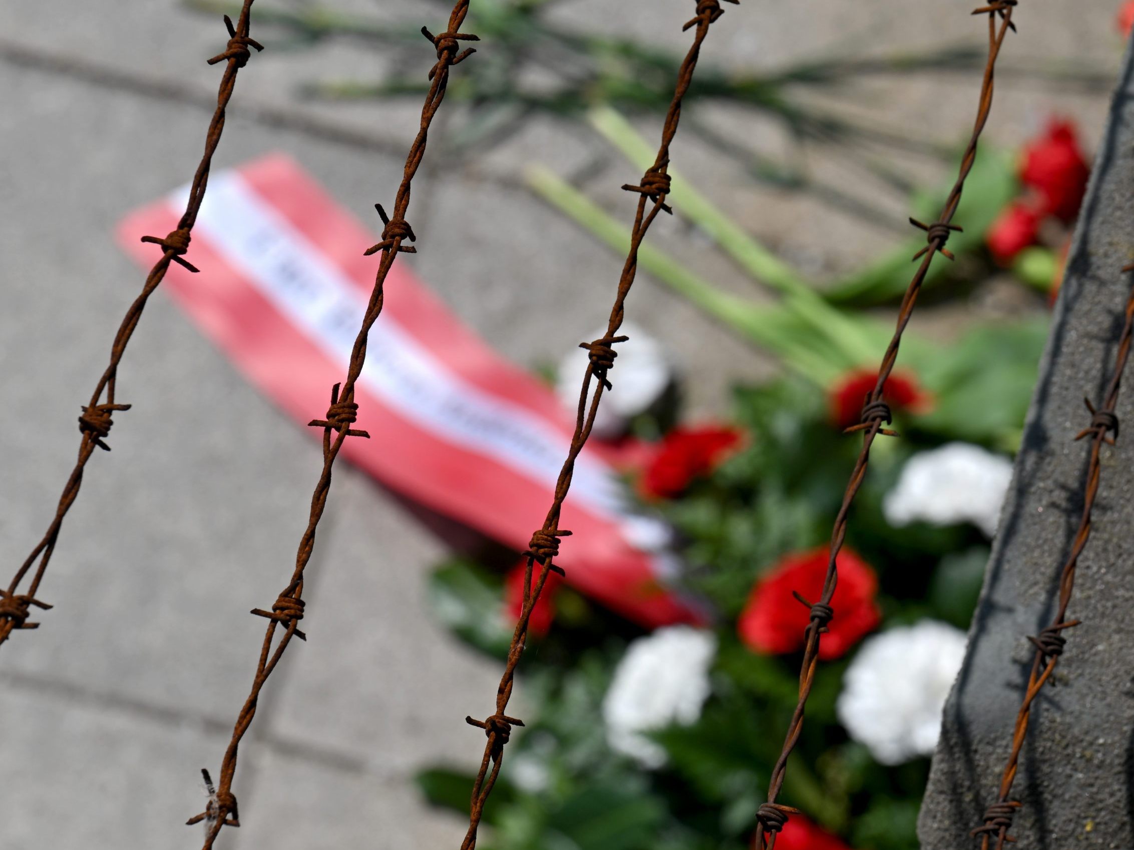 Die Befreiung des KZ in Mauthausen jährt sich 2025 zum 80. Mal. Die Befreiung des KZ in Mauthausen jährt sich 2025 zum 80. Mal.