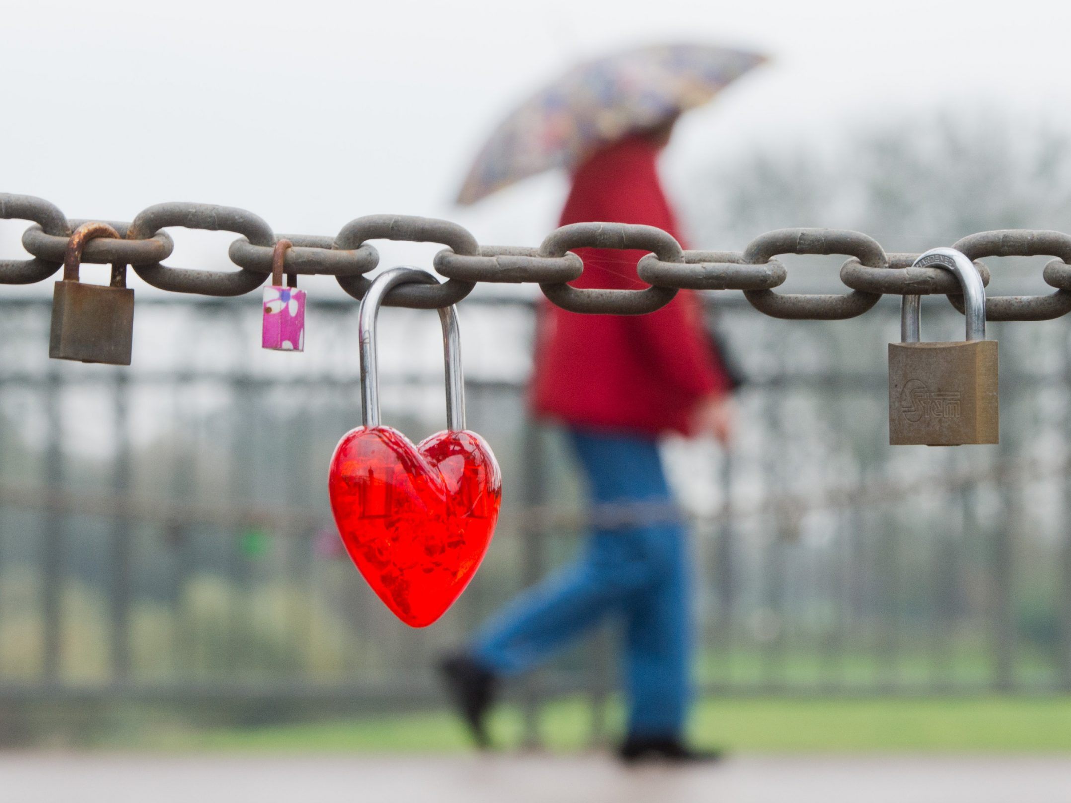 Rund 28 Prozent der Menschen in Österreich sind Singles. Rund 28 Prozent der Menschen in Österreich sind Singles.