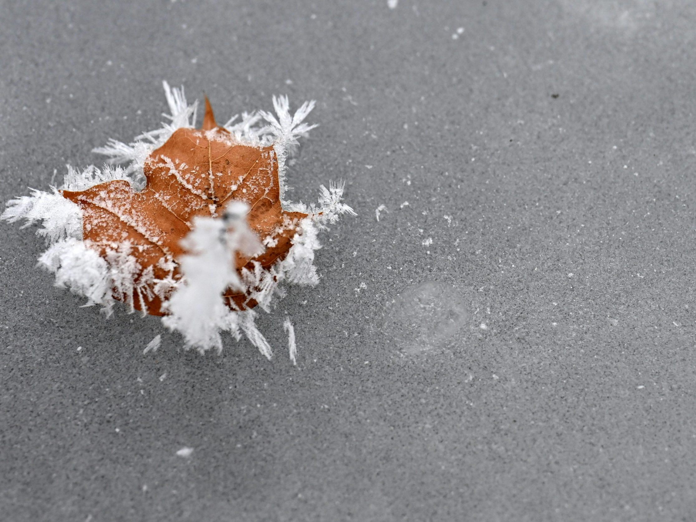 Ordentlich kalt war es am Dienstag in Gaming.