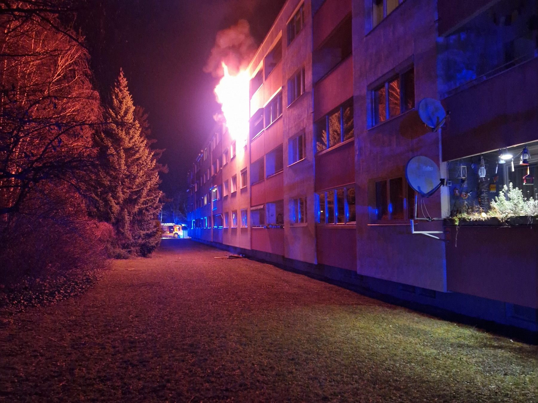 Im Bezirk Mödling ist es zu einem Brand gekommen.