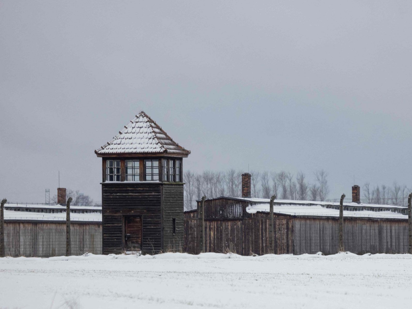Die Befreiung von Auschwitz jährt sich heuer zum 80. Mal Die Befreiung von Auschwitz jährt sich heuer zum 80. Mal