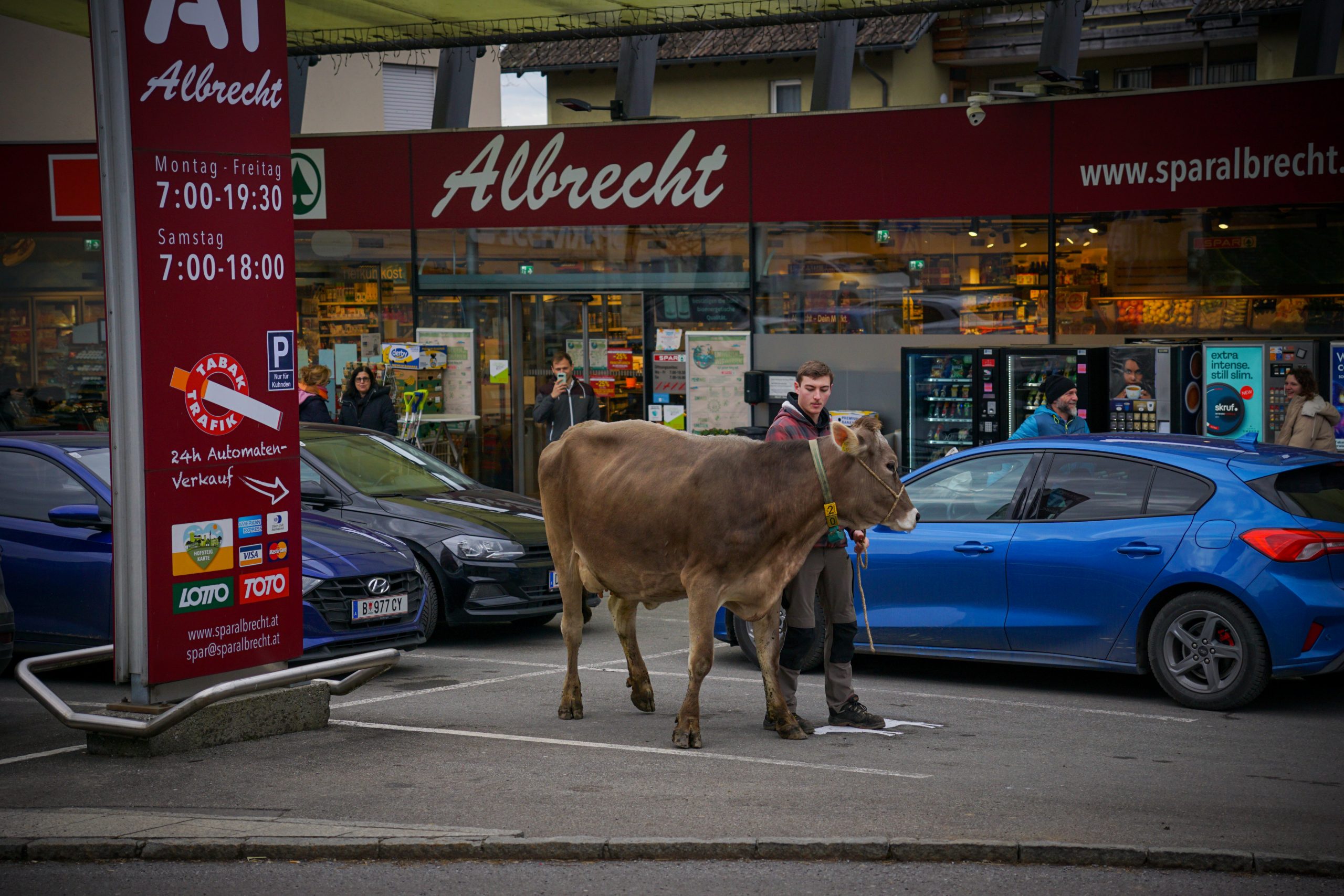 Ein durchschnittlicher Autoparkplatz misst 12,5 Quadratmeter – die gesetzlich vorgeschriebene Mindestgröße für den Stallplatz einer Milchkuh jedoch gerade mal die Hälfte. Ein durchschnittlicher Autoparkplatz misst 12,5 Quadratmeter – die gesetzlich vorgeschriebene Mindestgröße für den Stallplatz einer Milchkuh jedoch gerade mal die Hälfte.