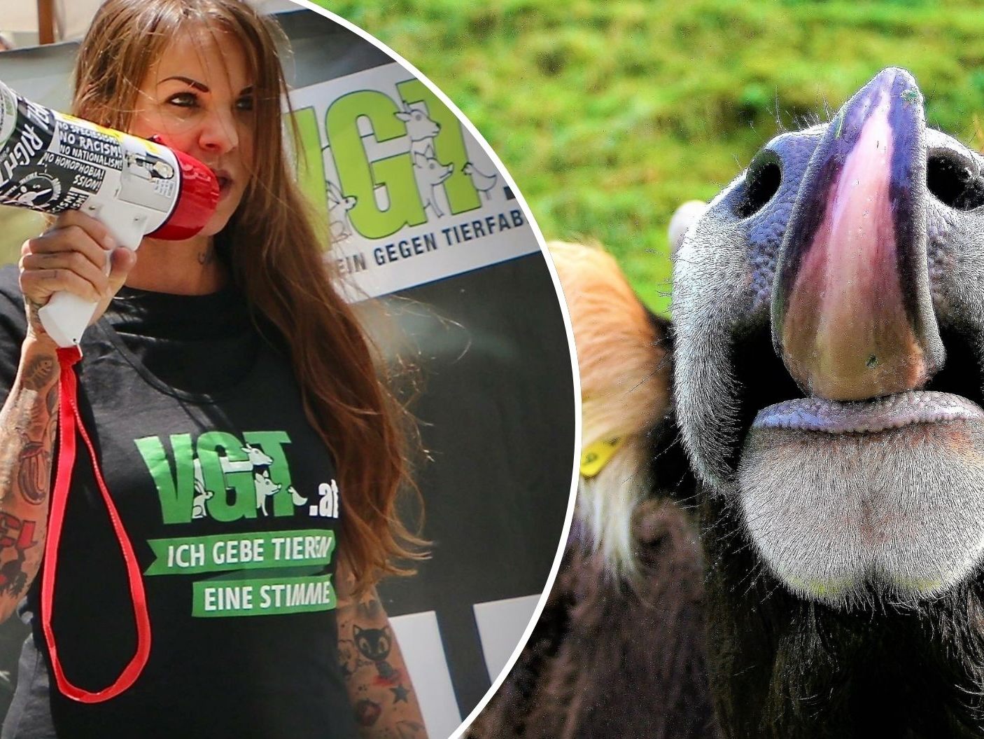 Wie reagiert Tierschützerin Sandy P. Peng auf das Urteil?