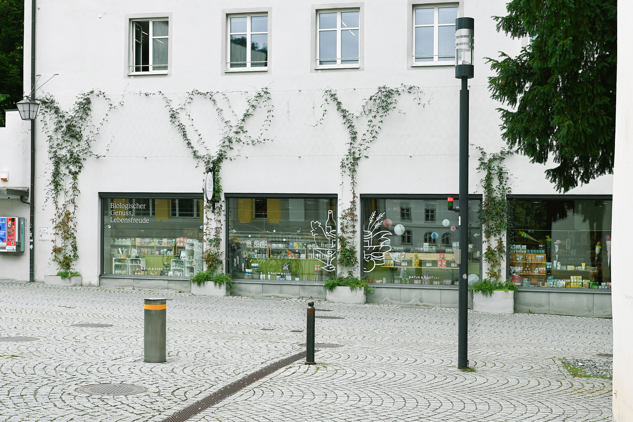 Fassadenbegrünung Johannitergasse Fassadenbegrünung Johannitergasse