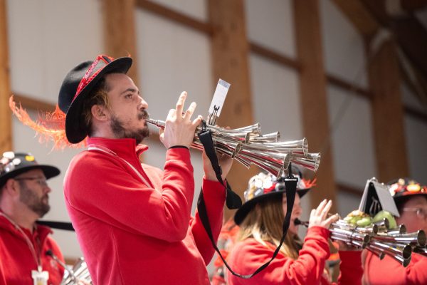 Landesnarrentag Hohenems