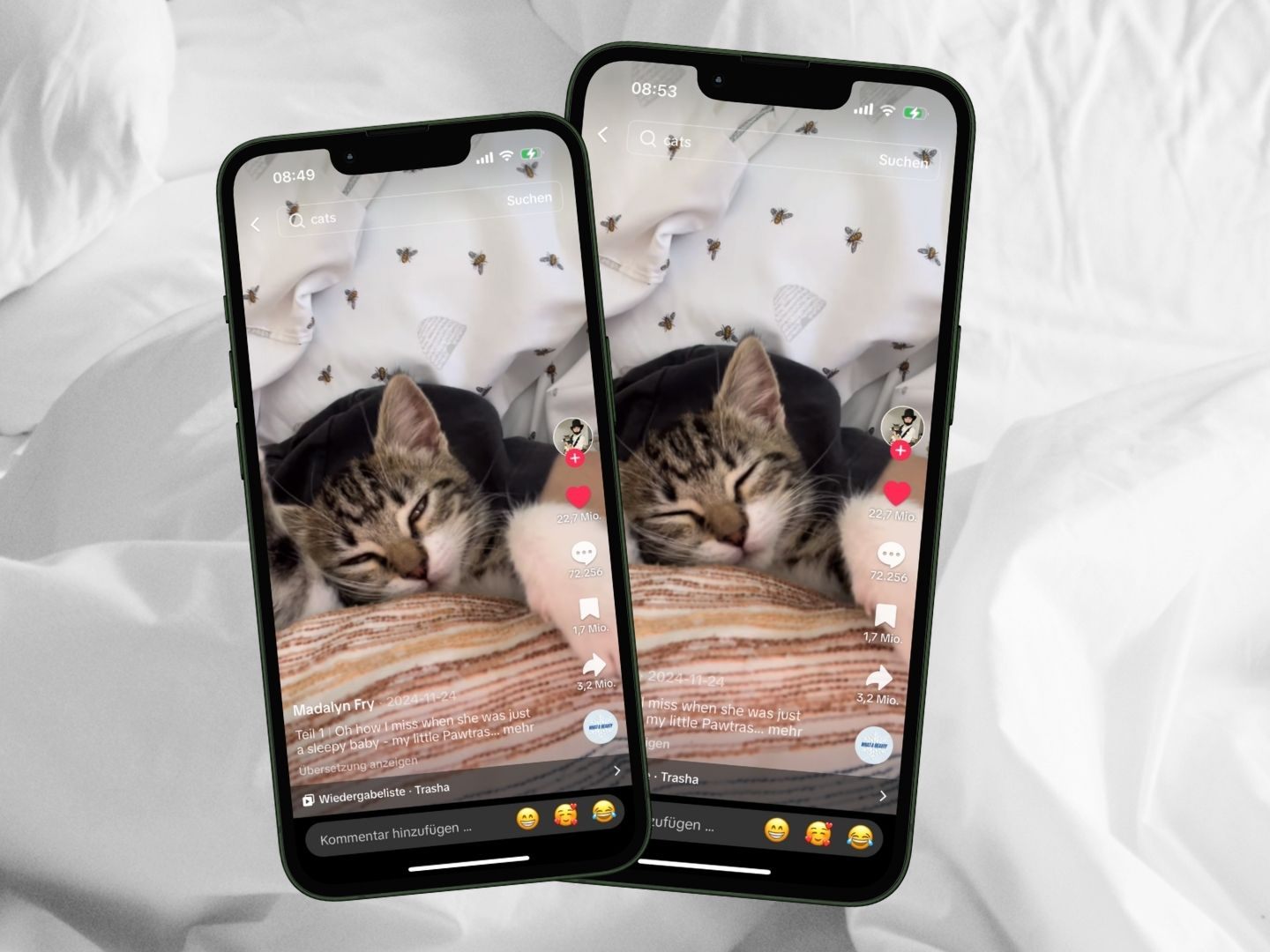 Katzenbaby