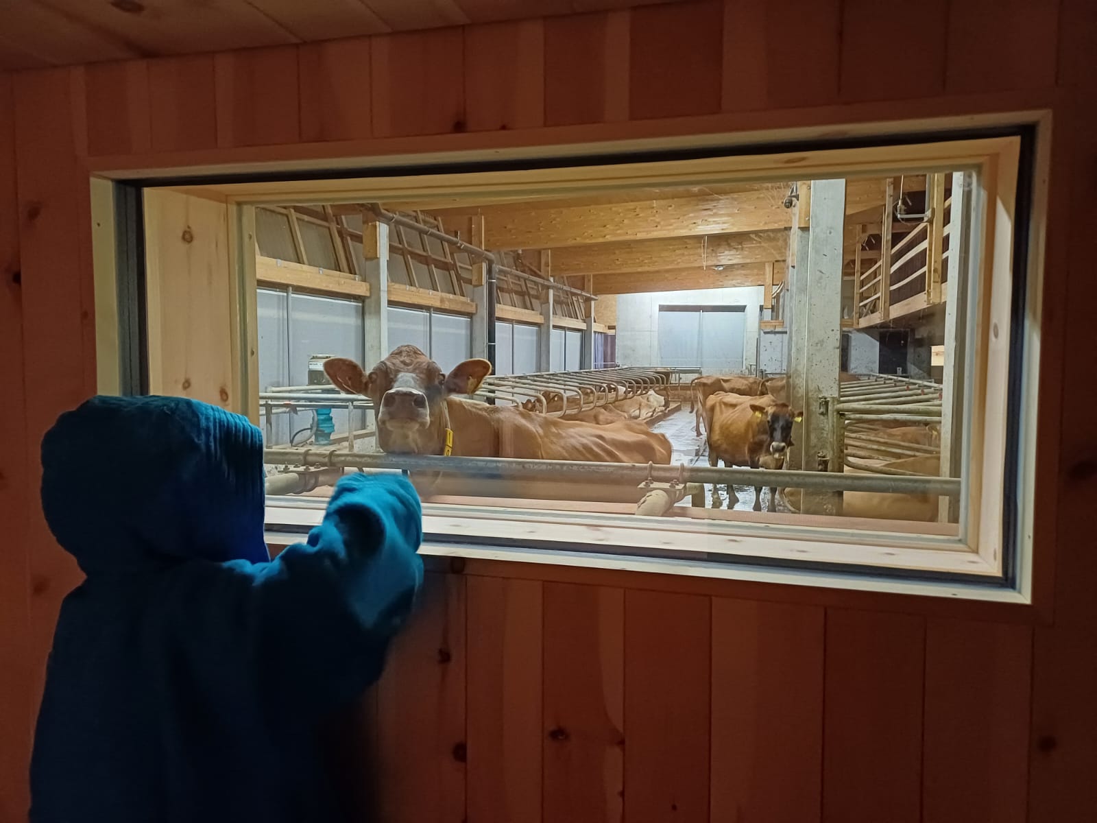 Das Highlight der hauseigenen Sauna: Ein direkter Blick in den Stall. Das Highlight der hauseigenen Sauna: Ein direkter Blick in den Stall.
