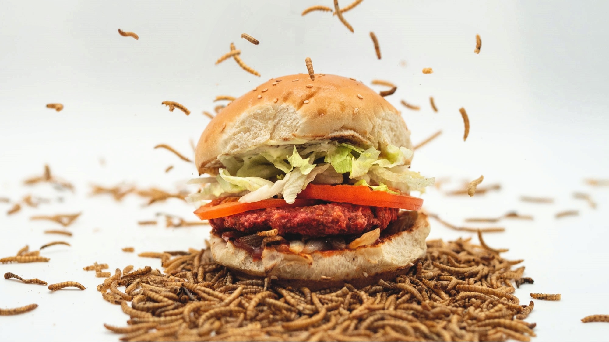 "Wormwich" ist eine proteinreiche und umweltfreundliche Fleischalternative.