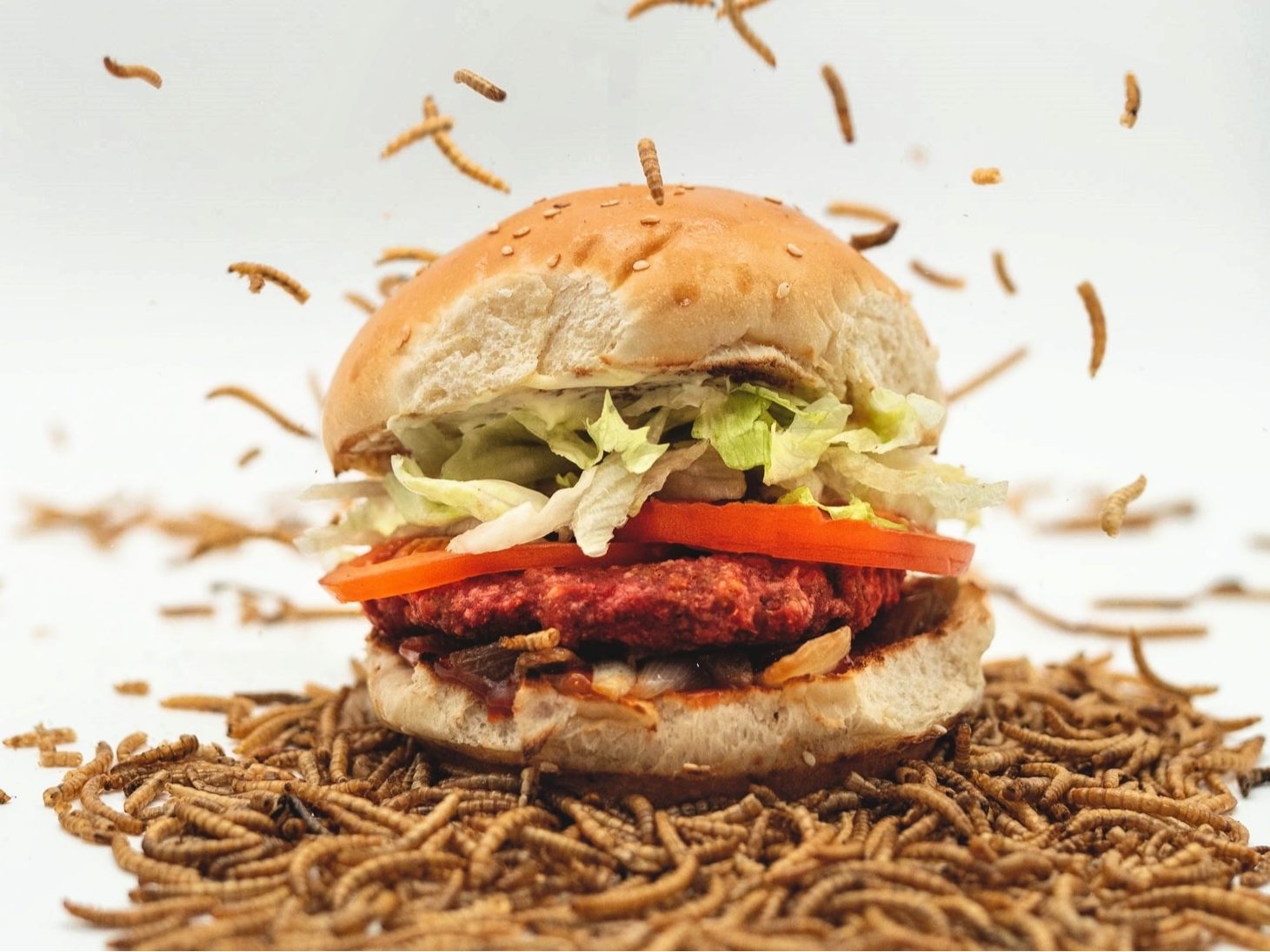 Bei Le Burger gibt es den neuen „Wormwich“.