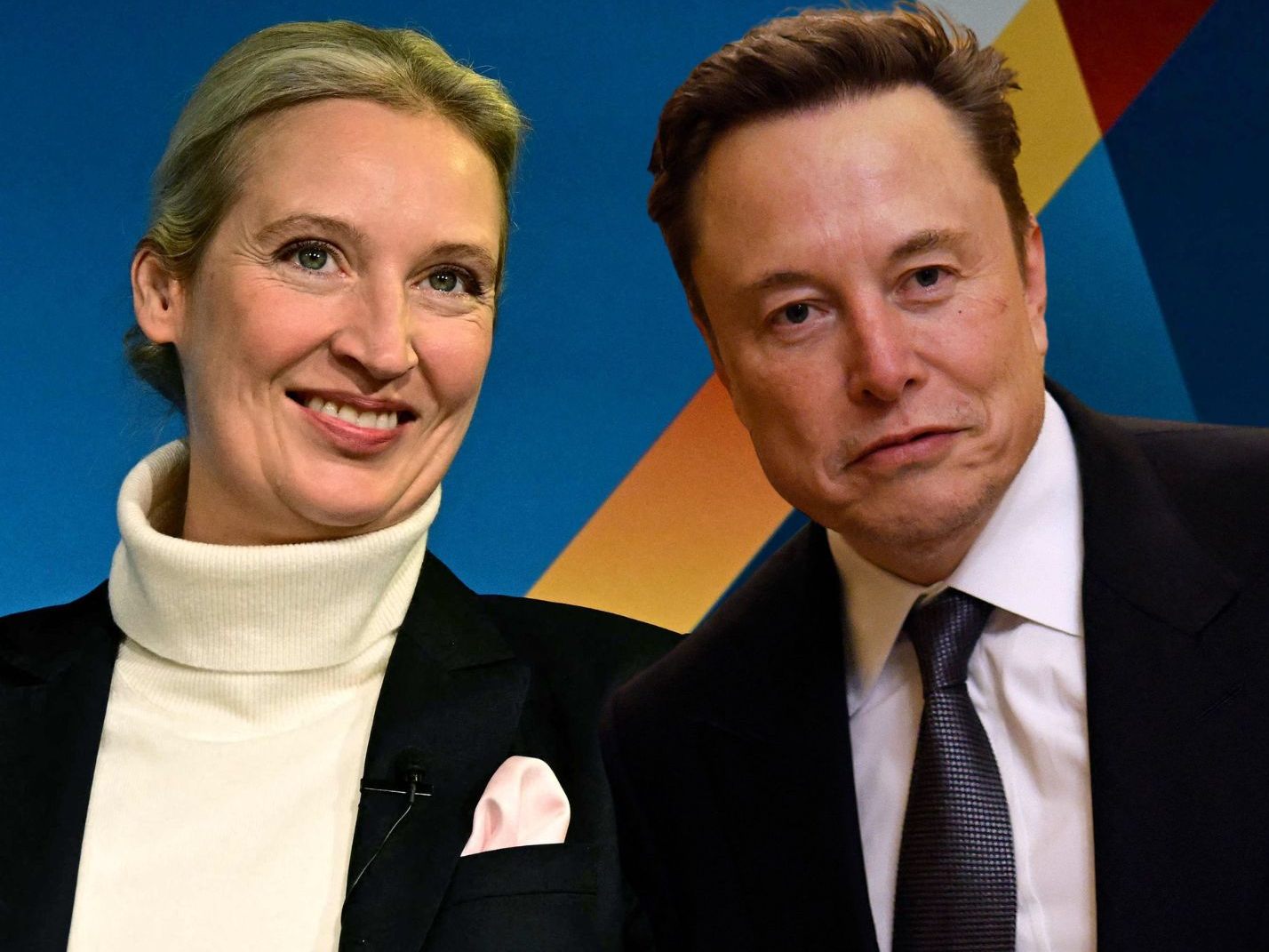 Milliardär und AfD-Chefin Weidel treffen sich zu Online-Gespräch Milliardär und AfD-Chefin Weidel treffen sich zu Online-Gespräch