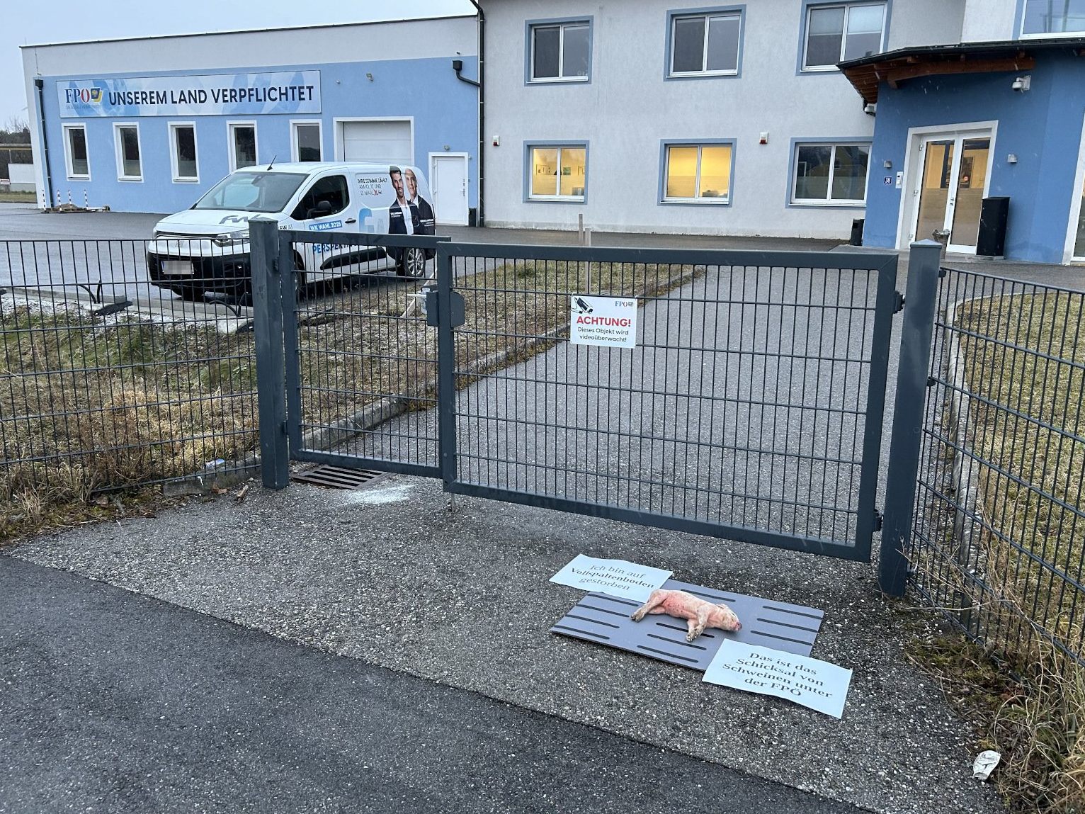 Ein totes Ferkel wurde vor der Zentrale der FPÖ Niederösterreich abgelegt.