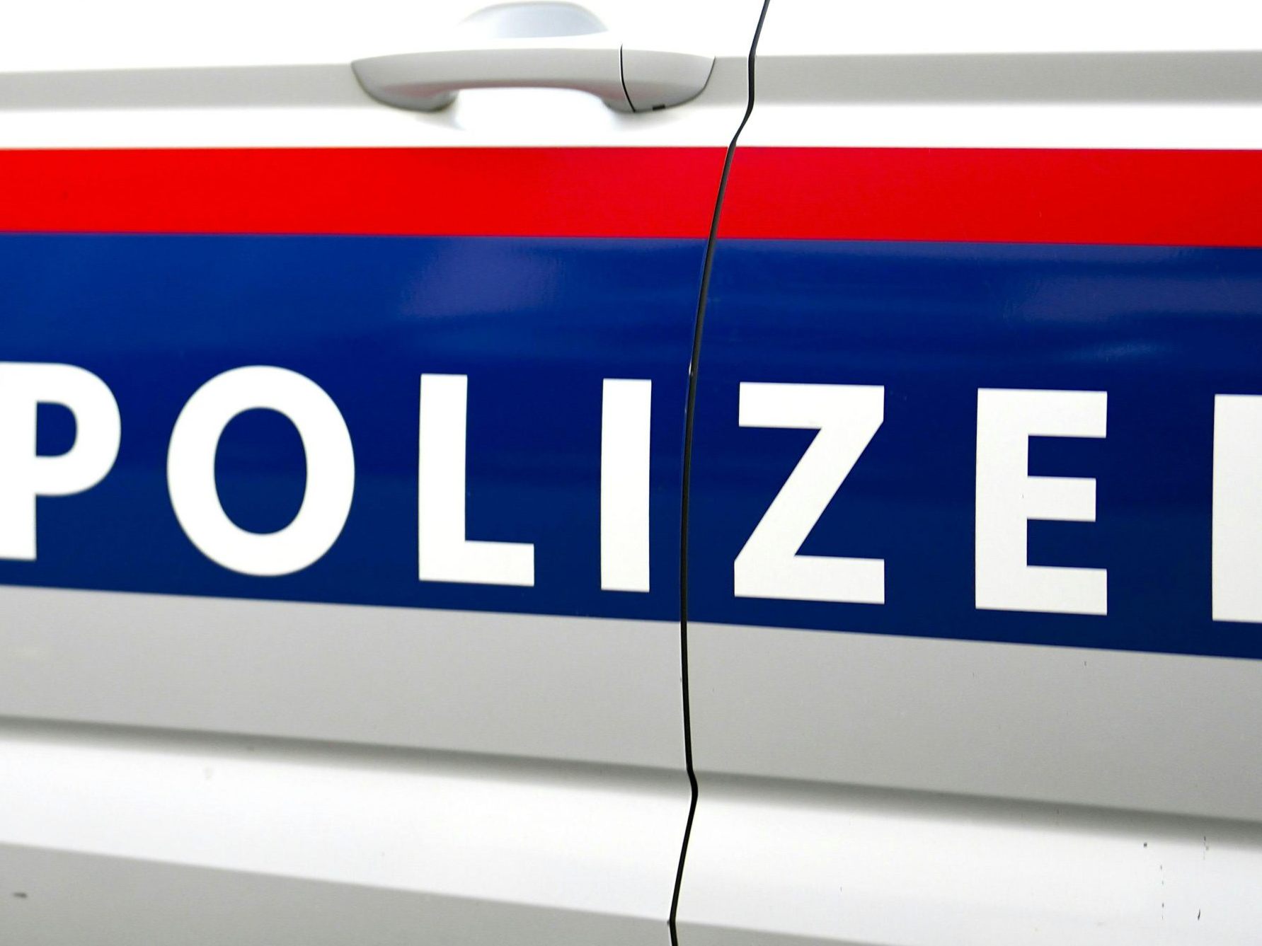 Beide wurden in eine Justizanstalt gebracht. Beide wurden in eine Justizanstalt gebracht.