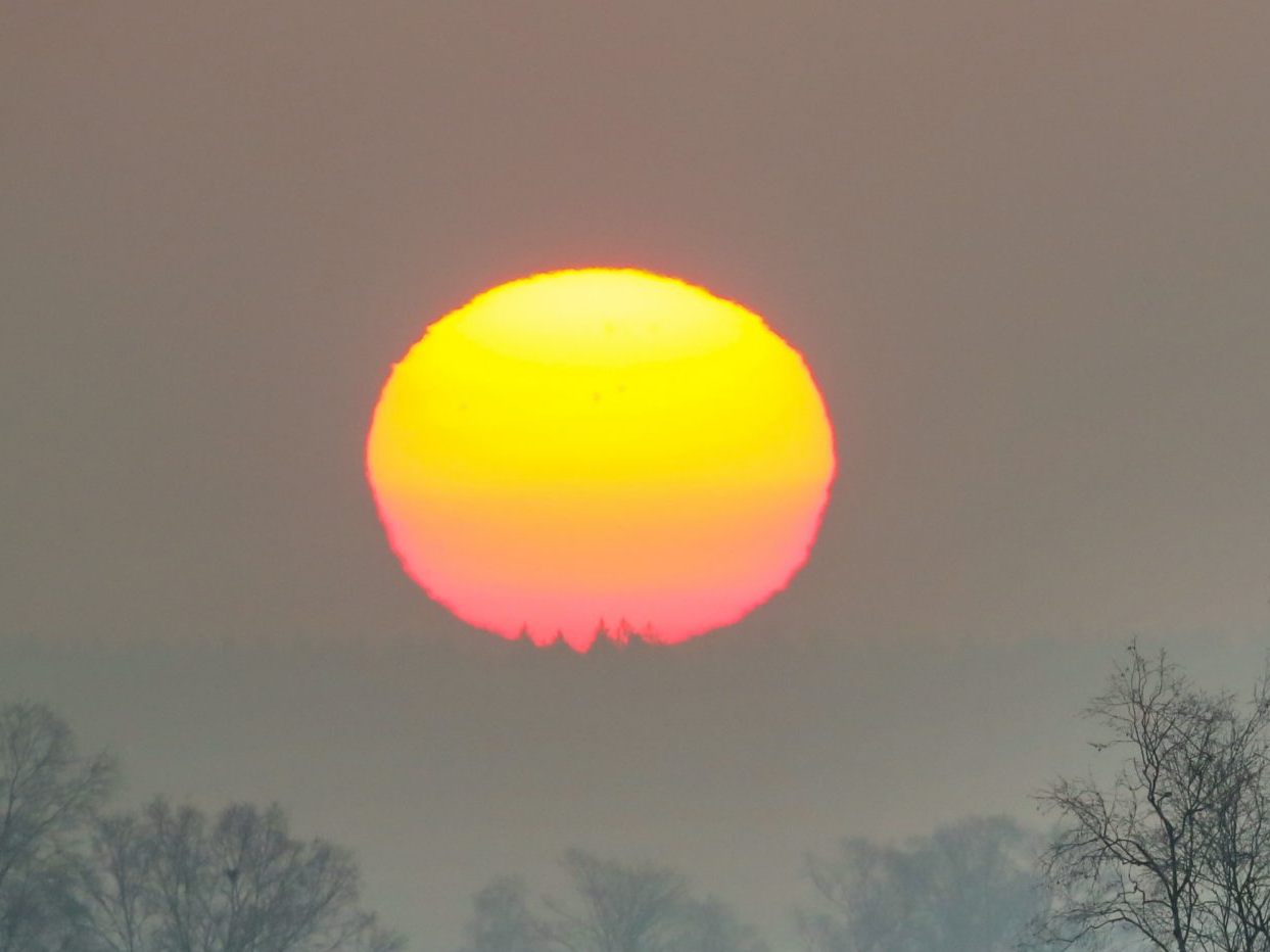 Wärmere Temperaturen kehren allmählich nach Österreich zurück.