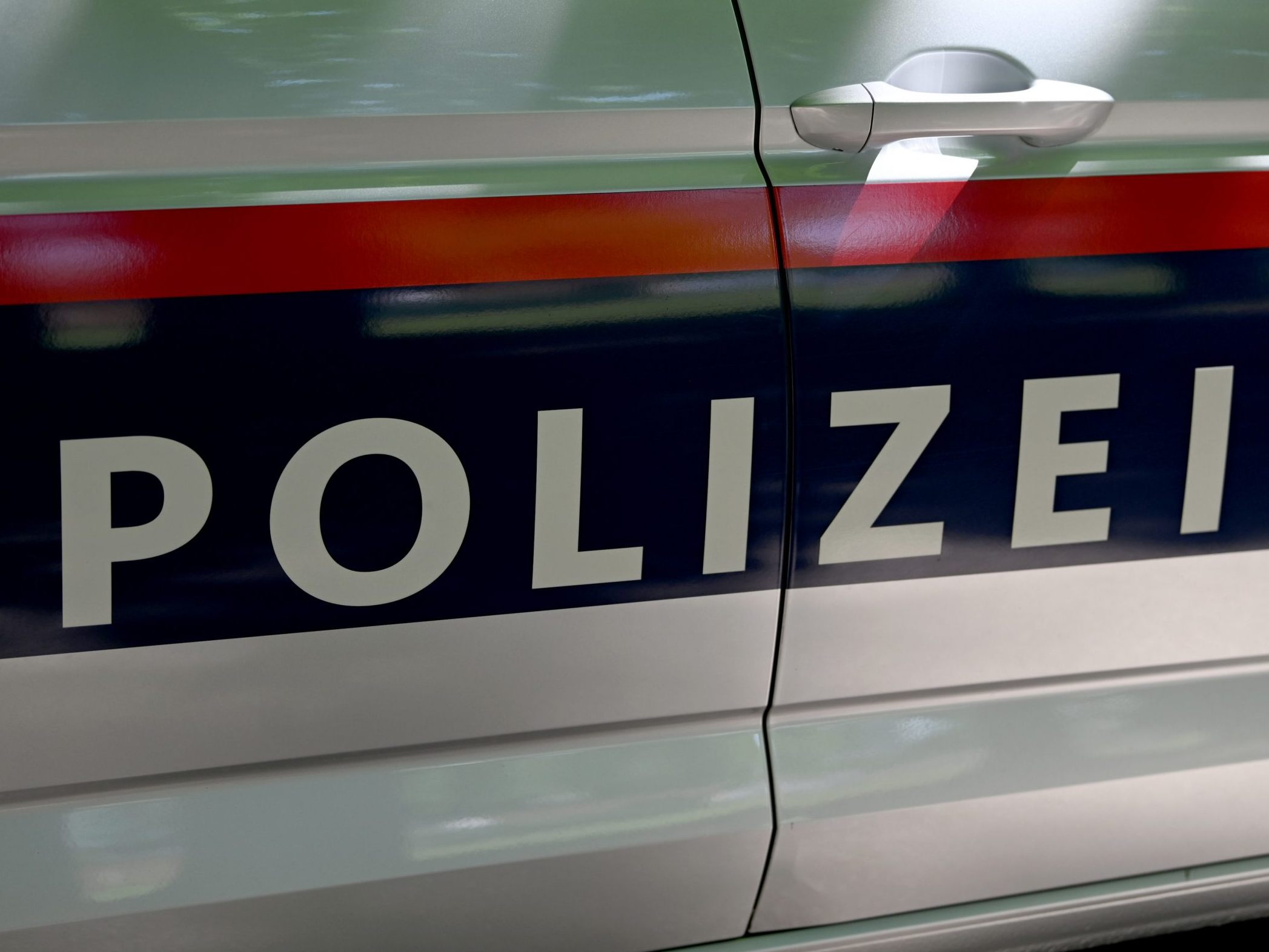 Die Polizei wurde wegen einem versuchten Diebstahl alarmiert.