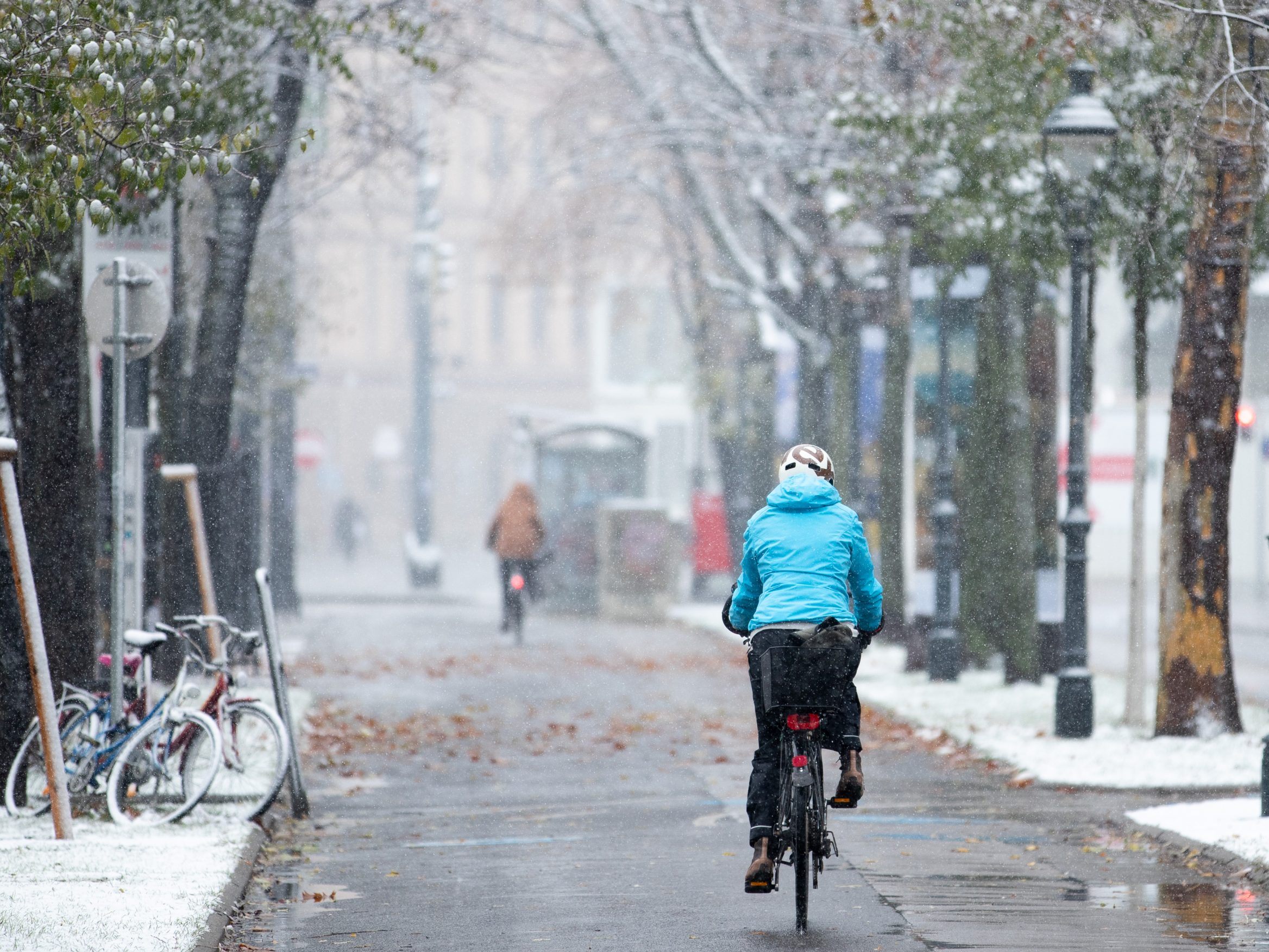 Plus bei Radfahrern in Wien.