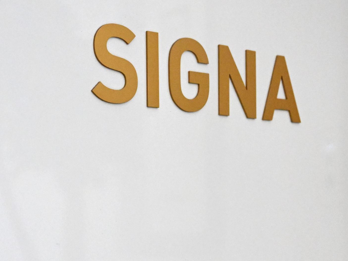 Signa-Investoren belasten Benko schwer.