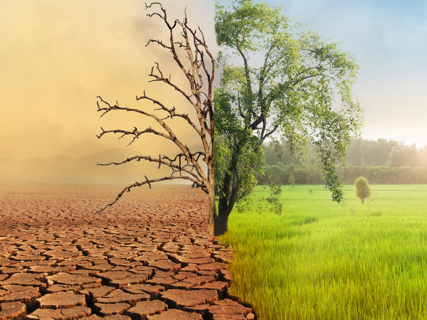 Das Vorjahr mit über 1,5 Grad globaler Erwärmung bleibt kein Einzelfall.