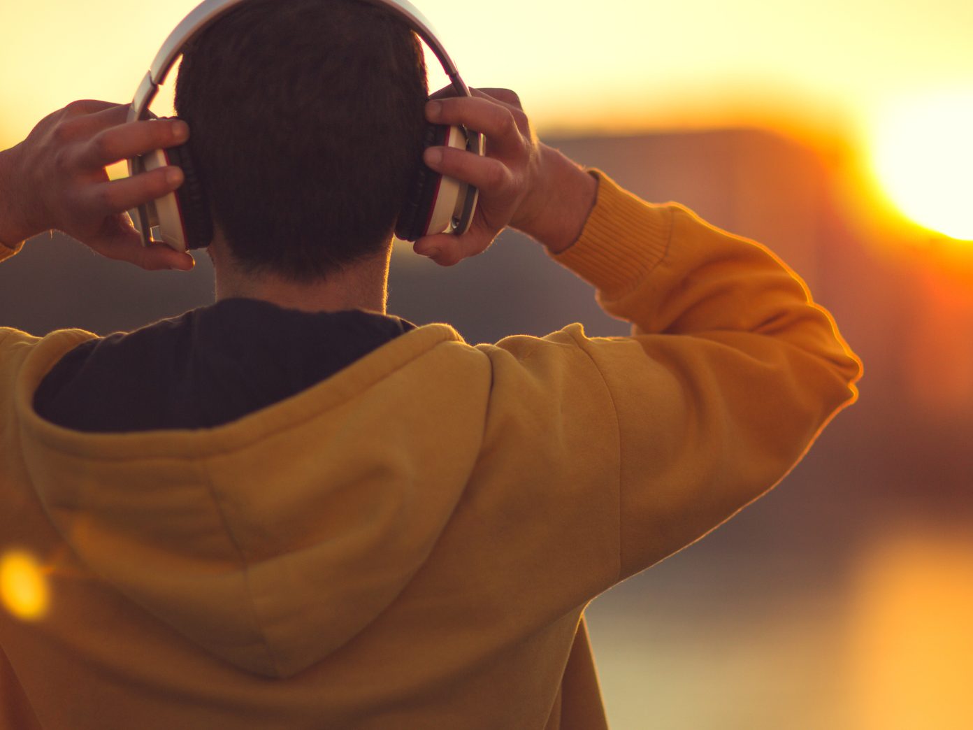 Der heimische Musikmarkt wächst weiter. Der heimische Musikmarkt wächst weiter.