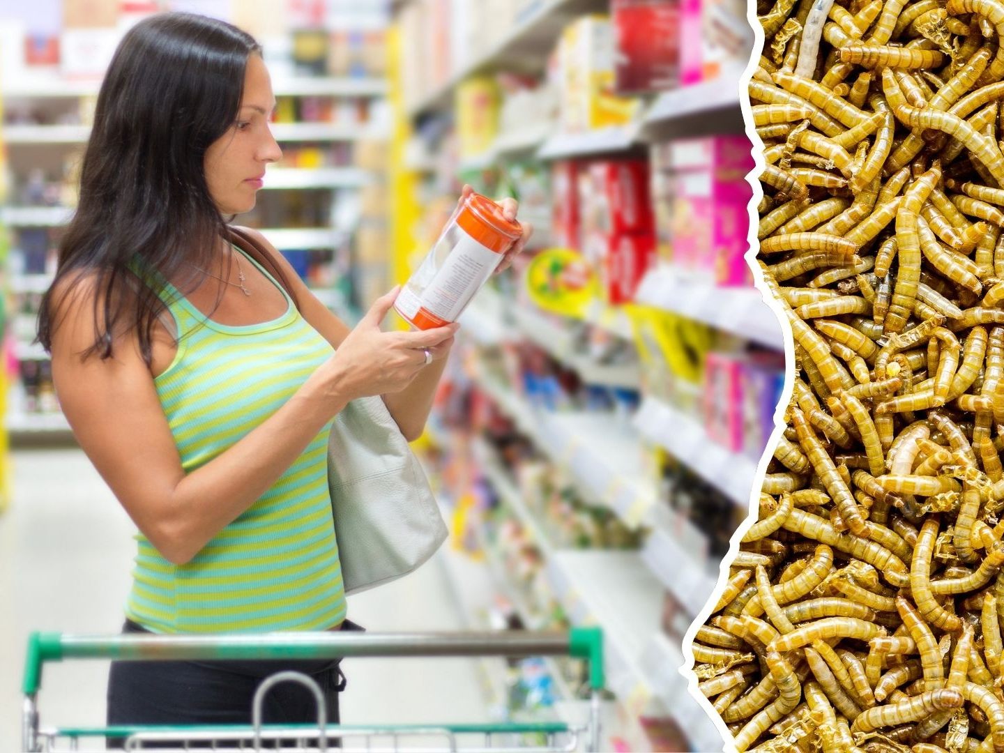 Mehlwürmer und andere Insekten sind in der EU bereits seit 2021 als Lebensmittel zugelassen.