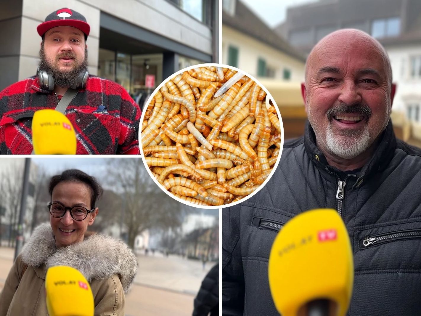 Was sagen Vorarlberger zu Mehlwurmpulver in Brot, Käse und Co.?