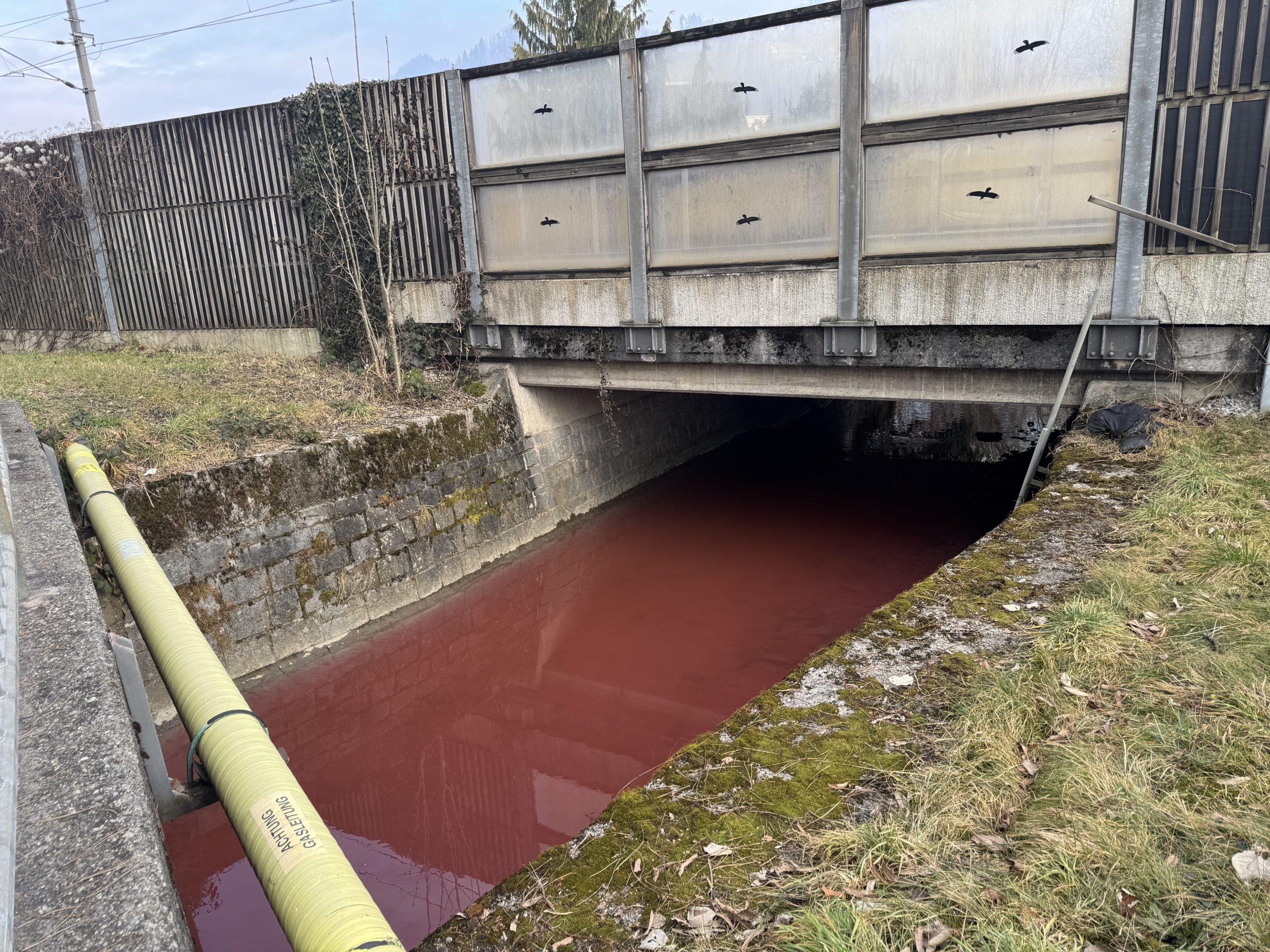 Verfärbter Fischbach Verfärbter Fischbach