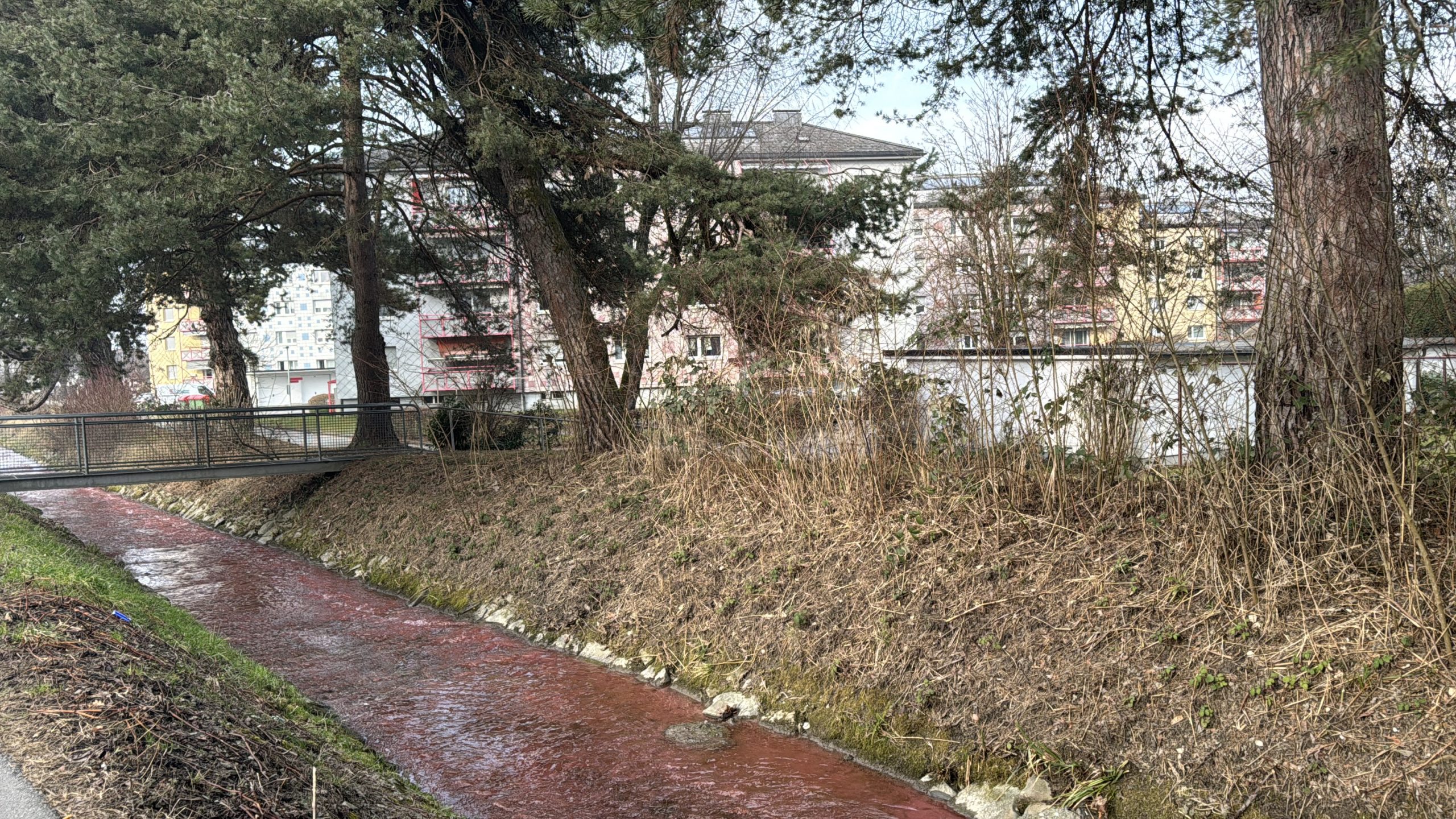 Verfärbter Fischbach Verfärbter Fischbach