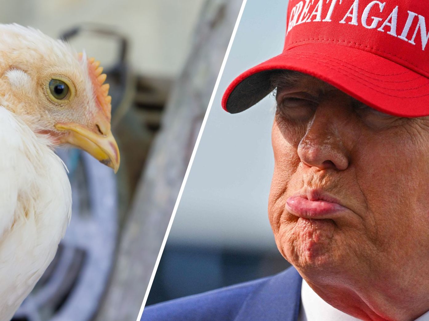 Trump will die Zahl der öffentlich Bediensteten drastisch reduzieren. Trump will die Zahl der öffentlich Bediensteten drastisch reduzieren.