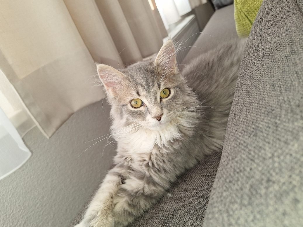 Max