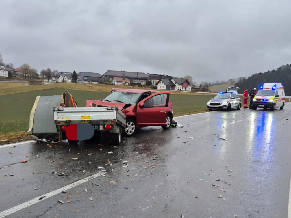 Die Fische landeten durch den Aufprall auf der Fahrbahn und verendeten. Die Fische landeten durch den Aufprall auf der Fahrbahn und verendeten.