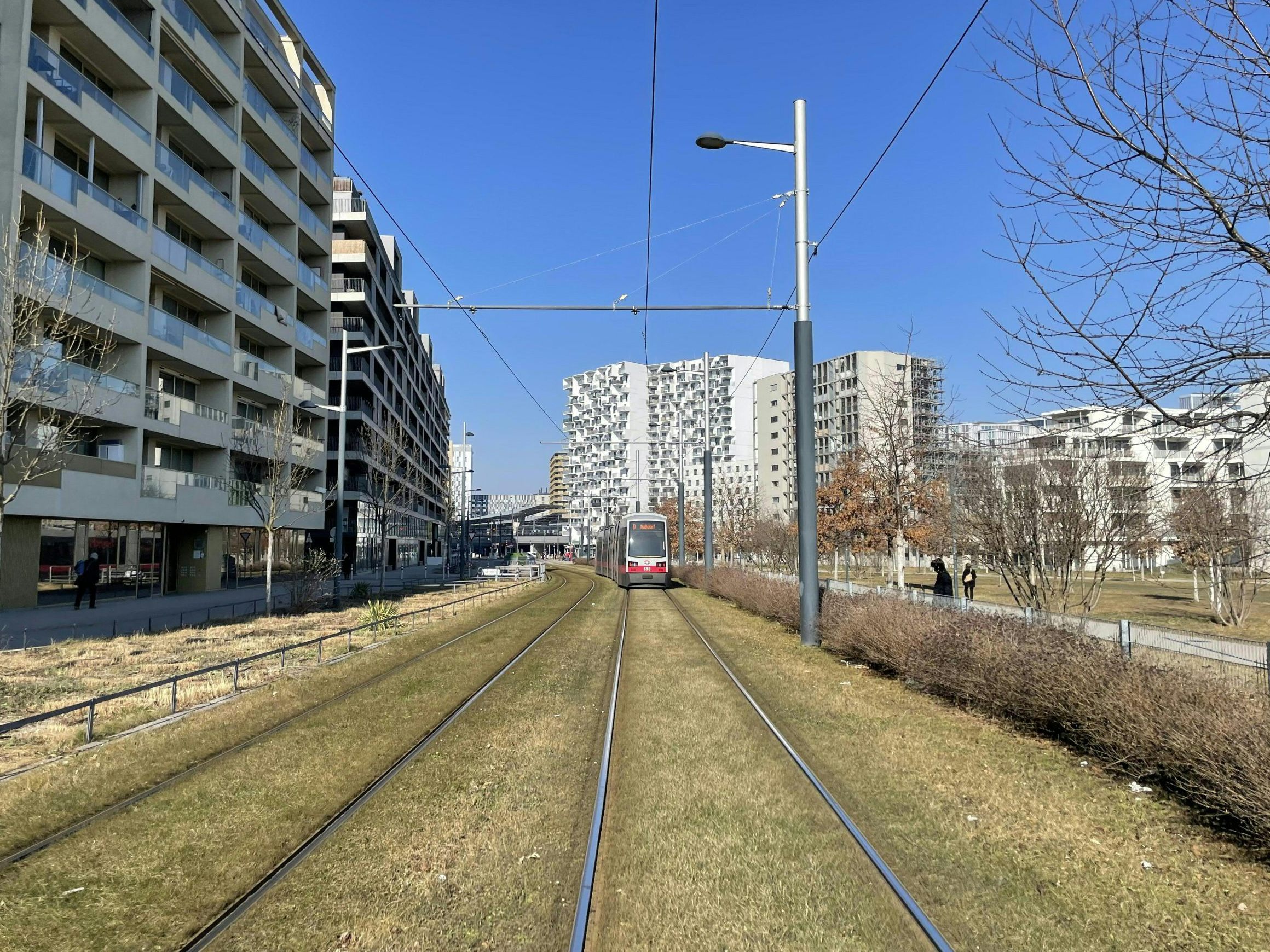 Grüngleis nennt man Gleiskörper mit bepflanzter Gleiseindeckung.