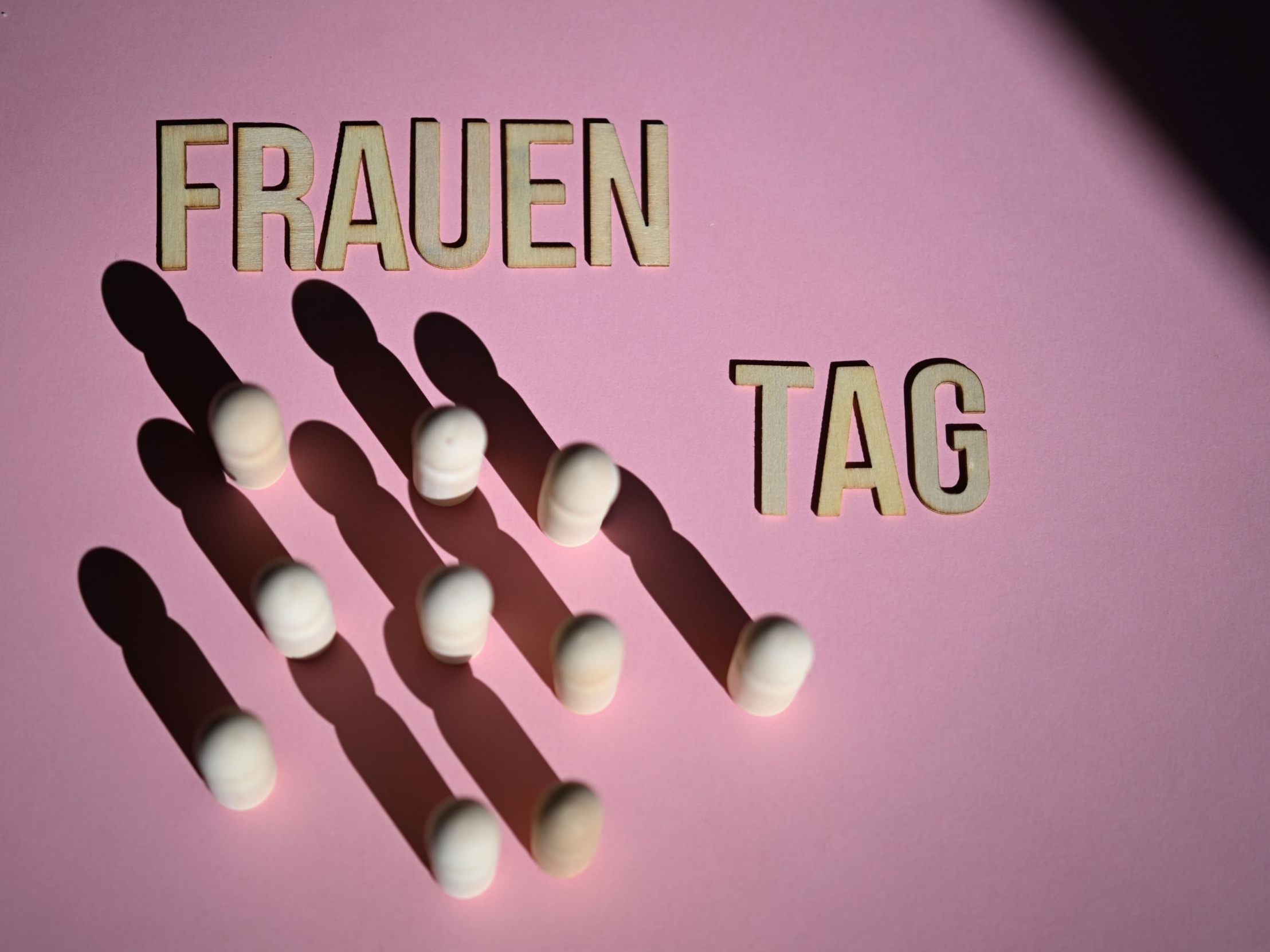 Tödtling-Musenbichler forderte Halbe-Halbe, den Ausbau institutionalisierter Pflegeeinrichtungen und flächendeckende Kinderbetreuung.
