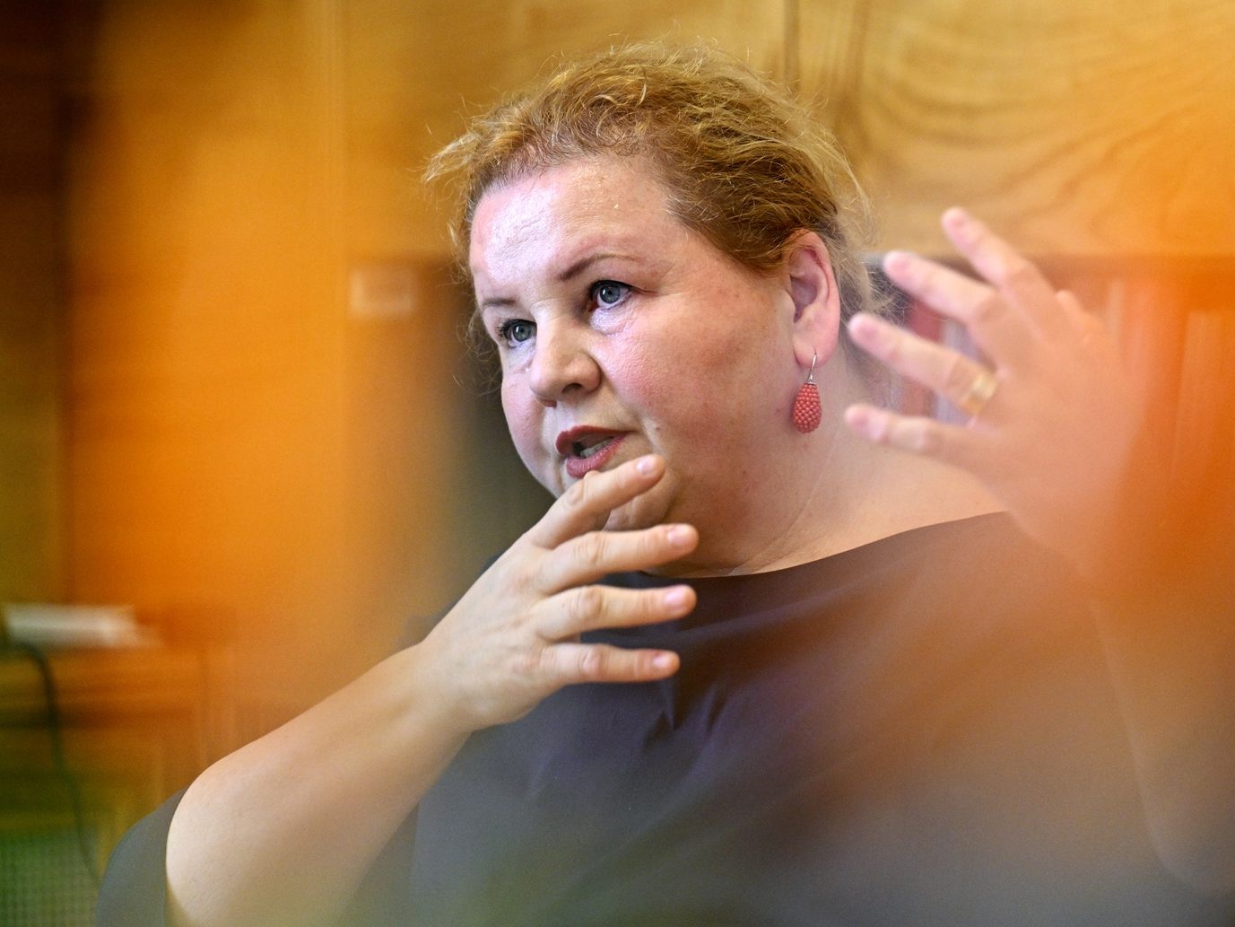 Lob gab es von Schumann für das Gesundheitssystem.