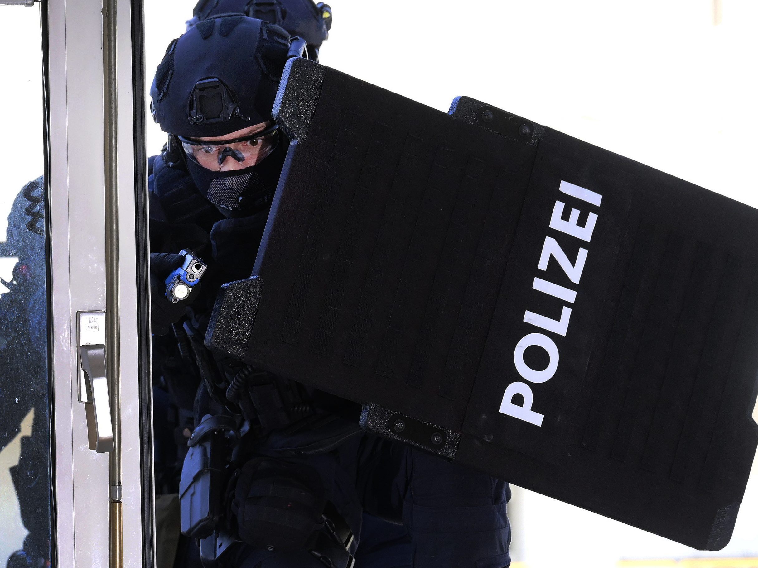 Die WEGA hatte in Wien-Donaustadt zu tun. Die WEGA hatte in Wien-Donaustadt zu tun.
