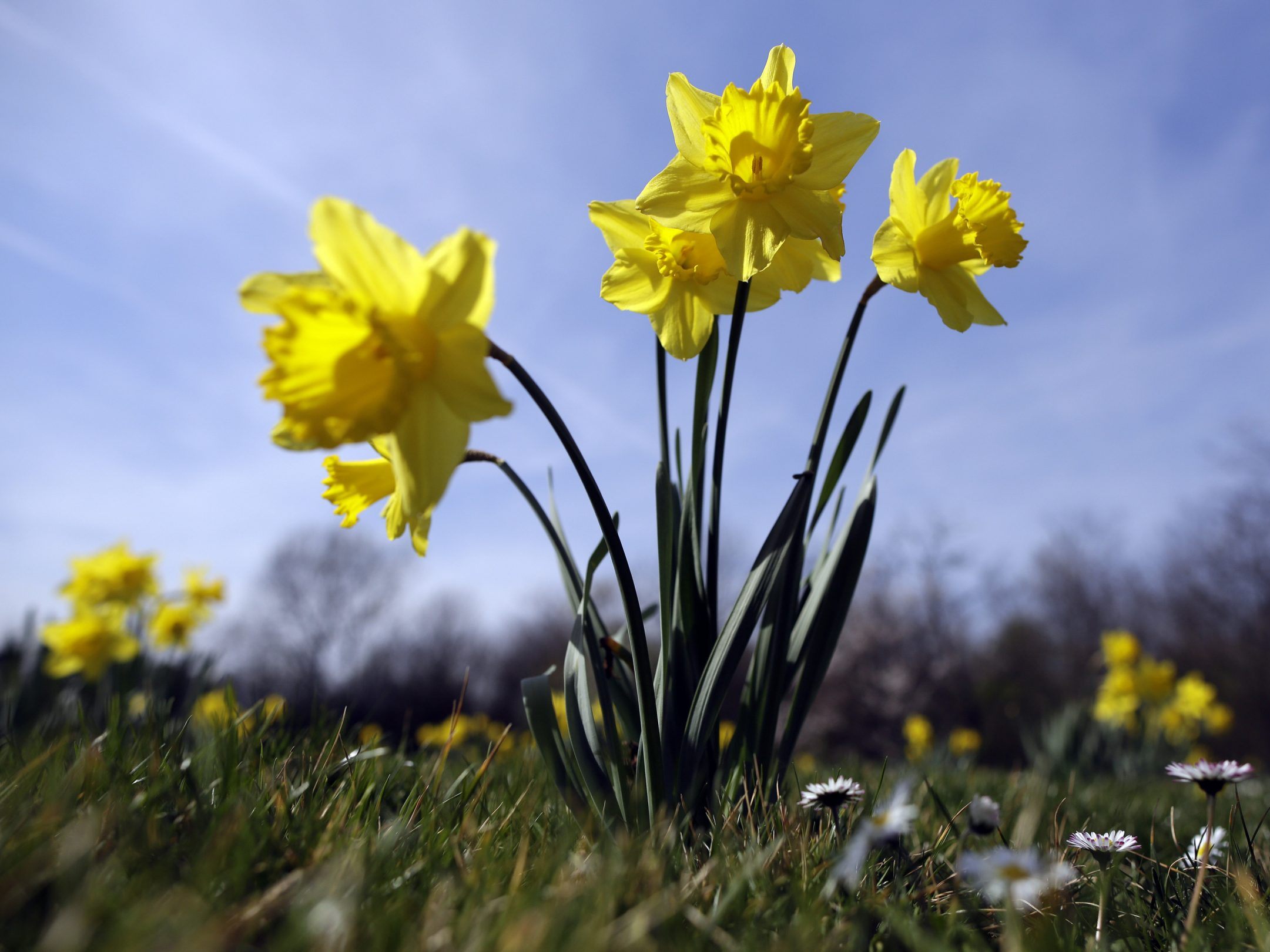 In Österreich herrscht auch diese Woche frühlingshaftes Wetter.