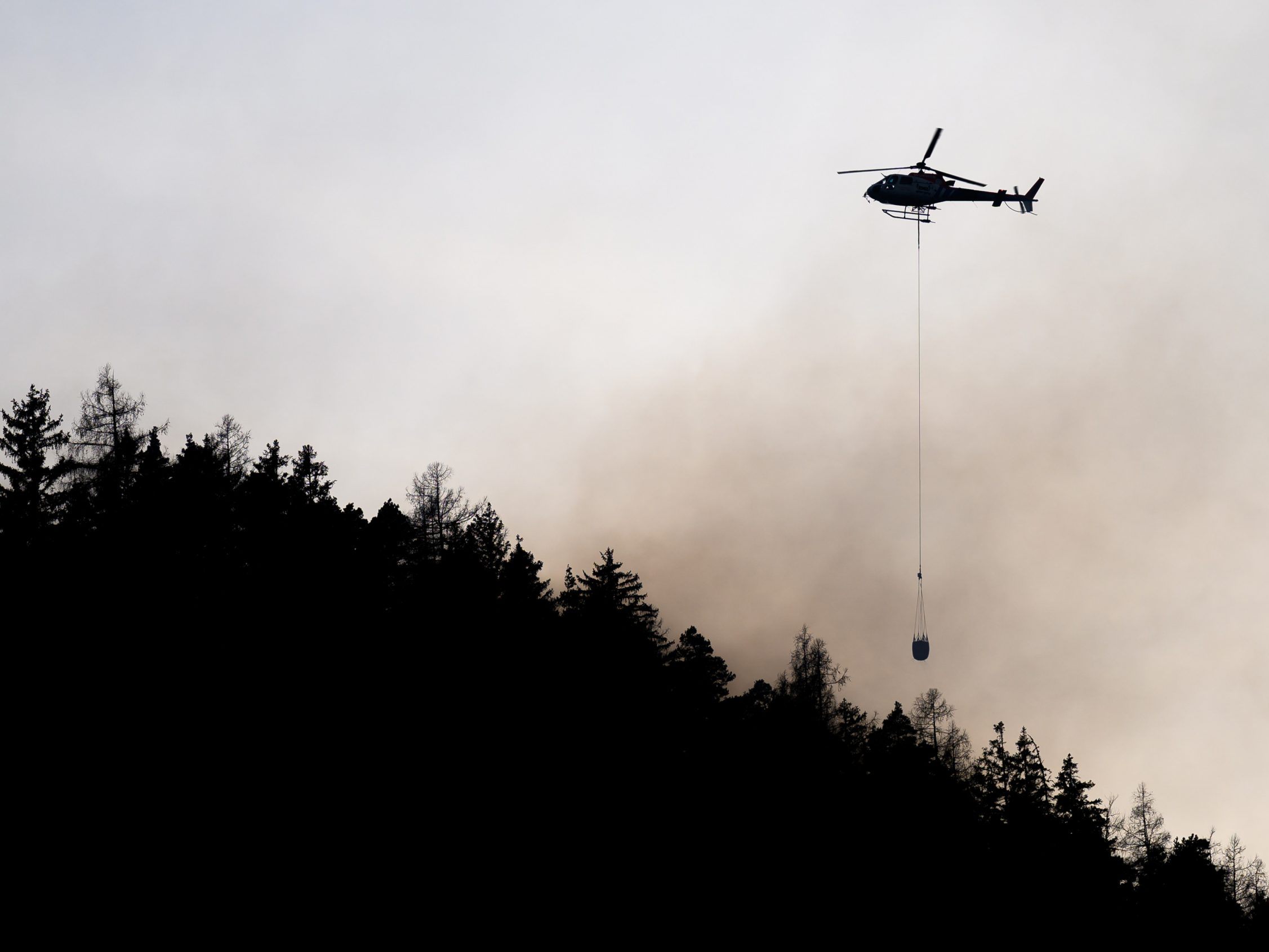 Seit Samstag ist die Feuerwehr im Rax-Schneeberg-Gebiet im Einsatz. Seit Samstag ist die Feuerwehr im Rax-Schneeberg-Gebiet im Einsatz.