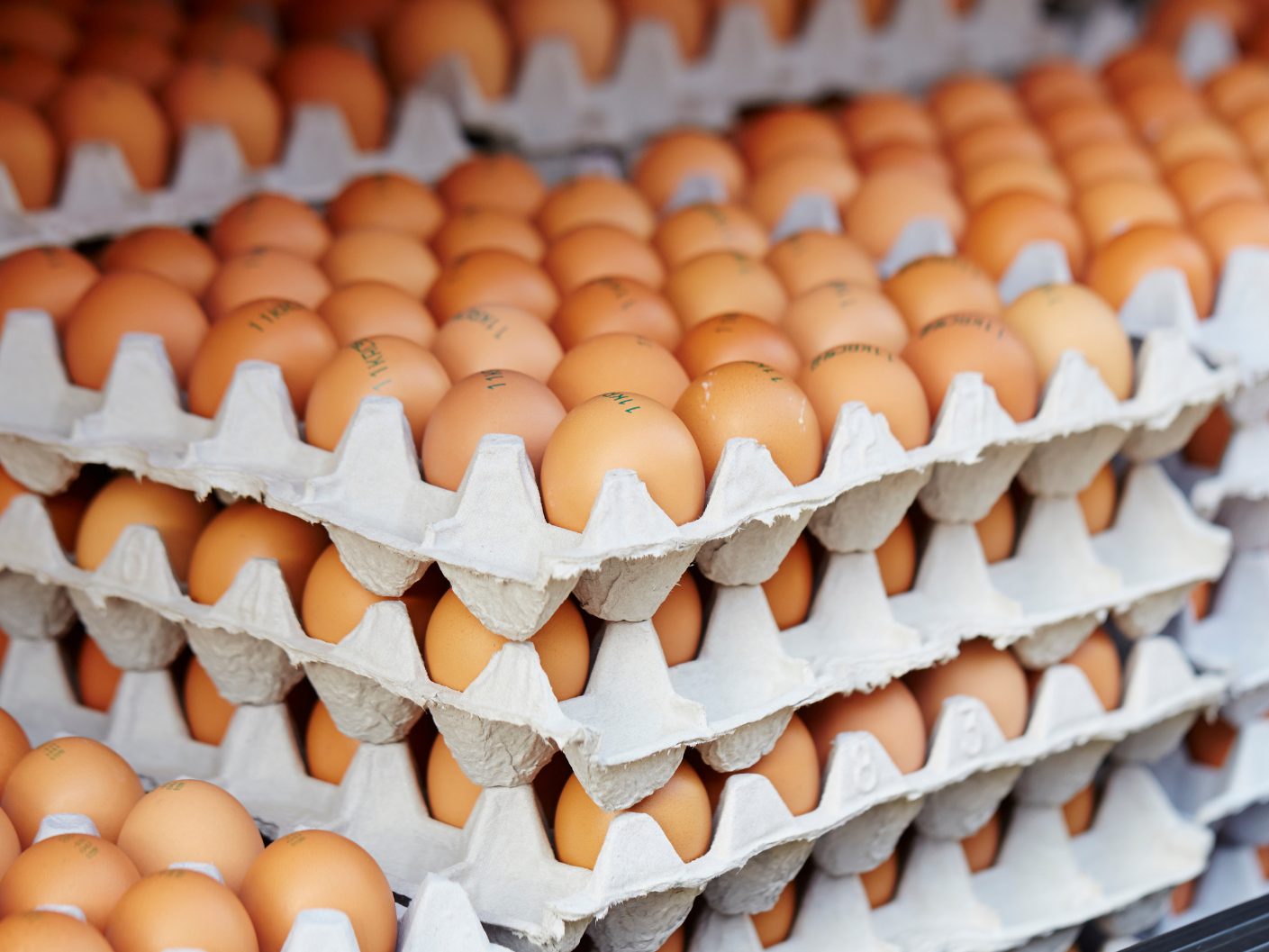 SPAR reagiert nach dem Hinweis von Tierschutz Austria.