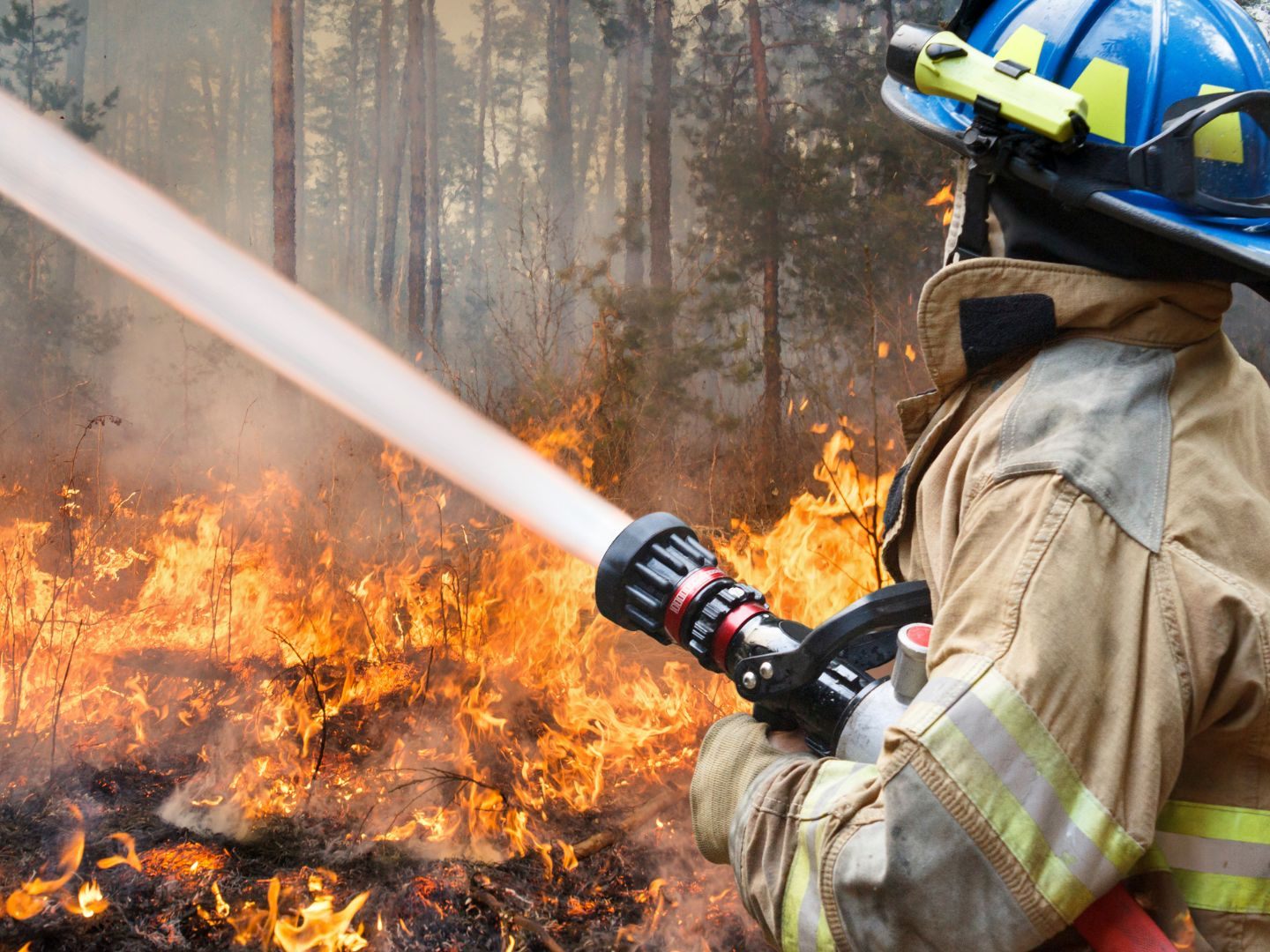 Im Falle eines Waldbrands sollte man sofort die Feuerwehr verständigen und eigene Löschversuche unterlassen.