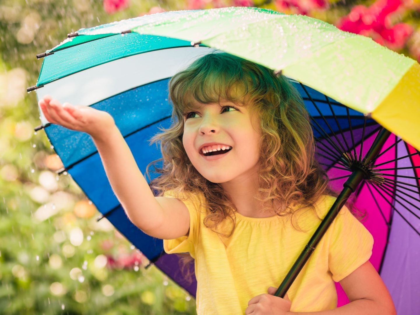 Anfangs noch regnerisch, wird das Wetter ab Mitte der Woche deutlich freundlicher. Anfangs noch regnerisch, wird das Wetter ab Mitte der Woche deutlich freundlicher.