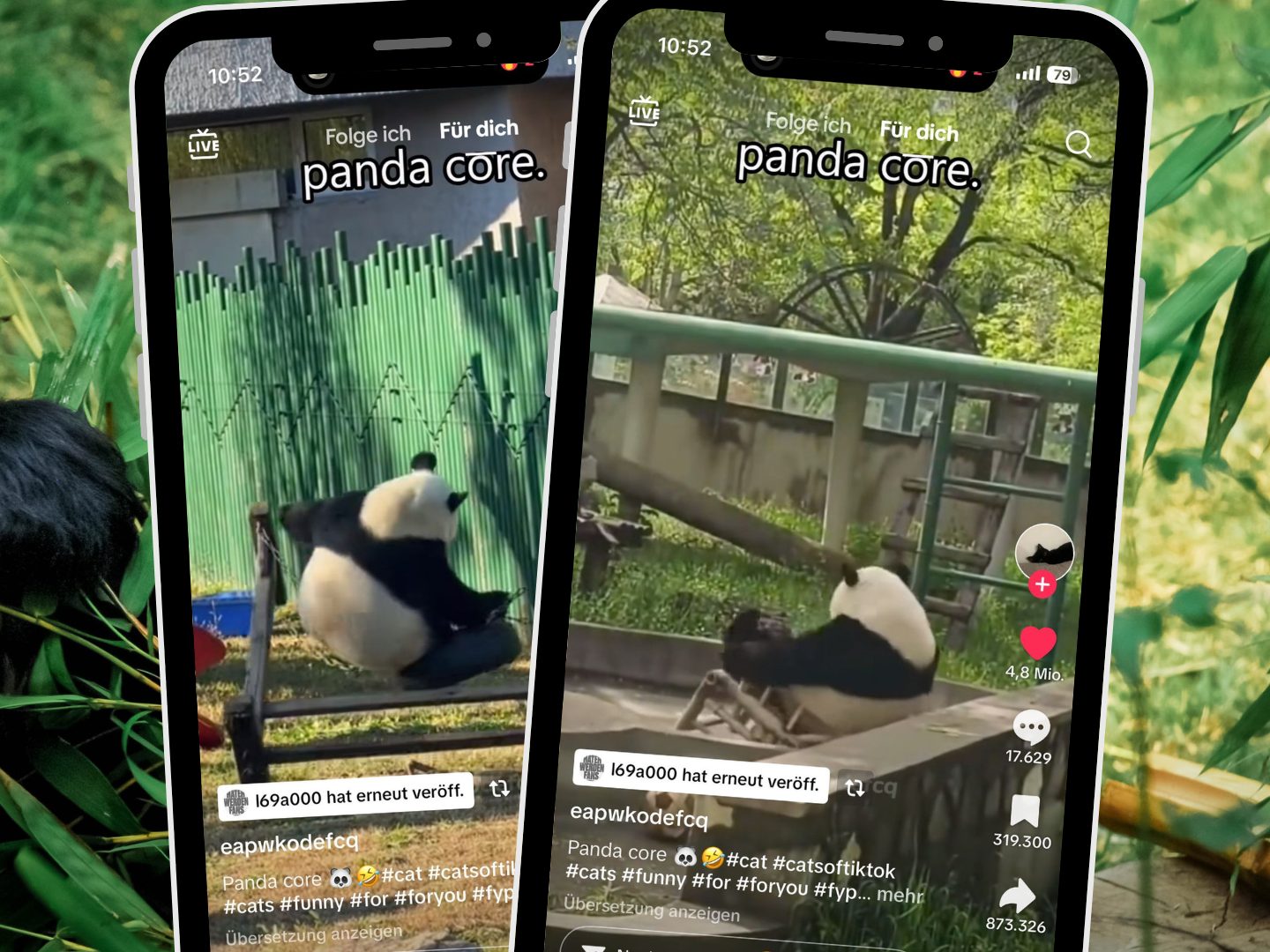 Ein TikTok-Video mit 4,9 Millionen Likes zeigt einen Panda in einer alltäglichen Situation und gibt Einblicke in sein Verhalten.